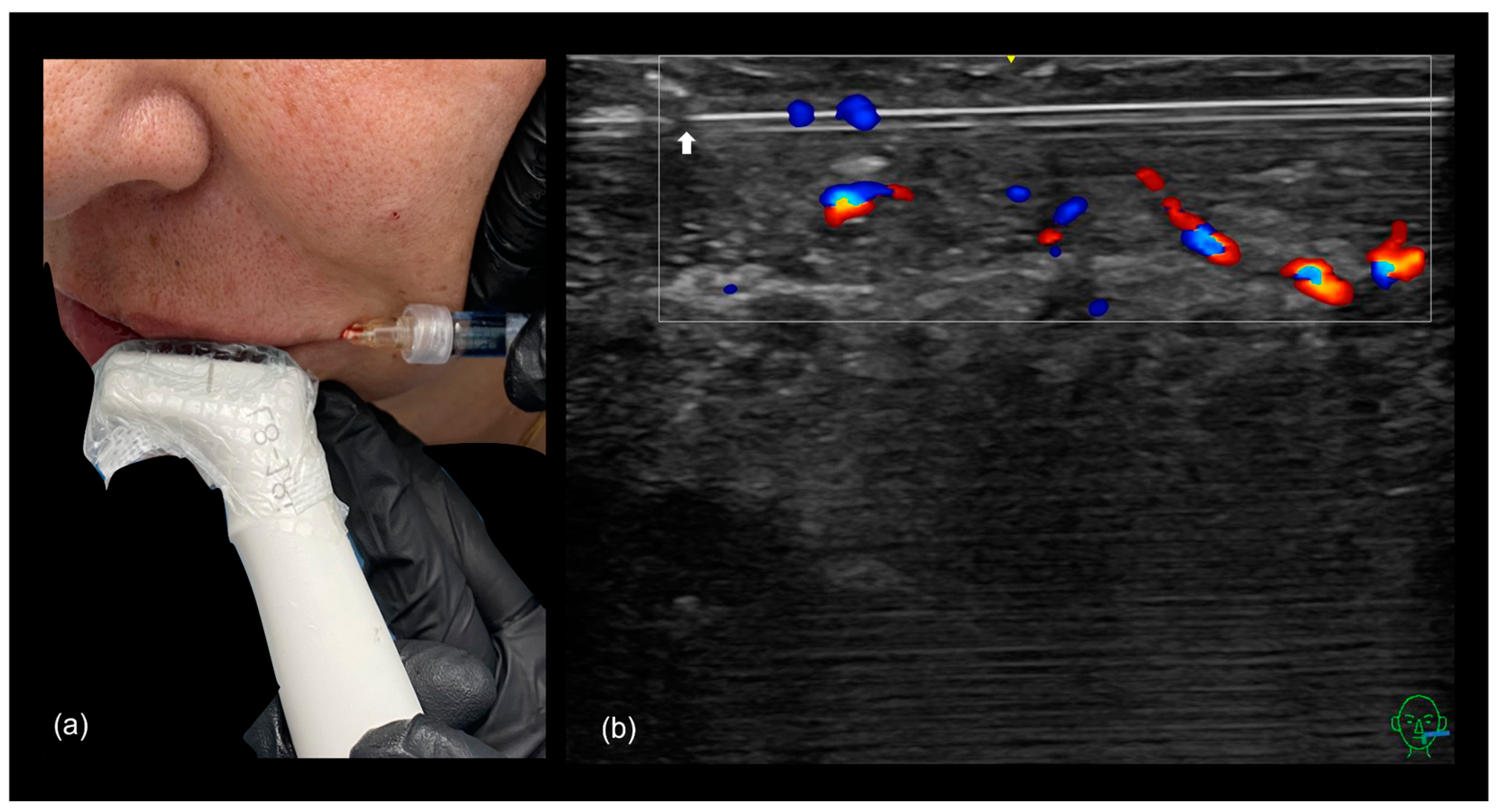 Diagnostics 15 00921 g016