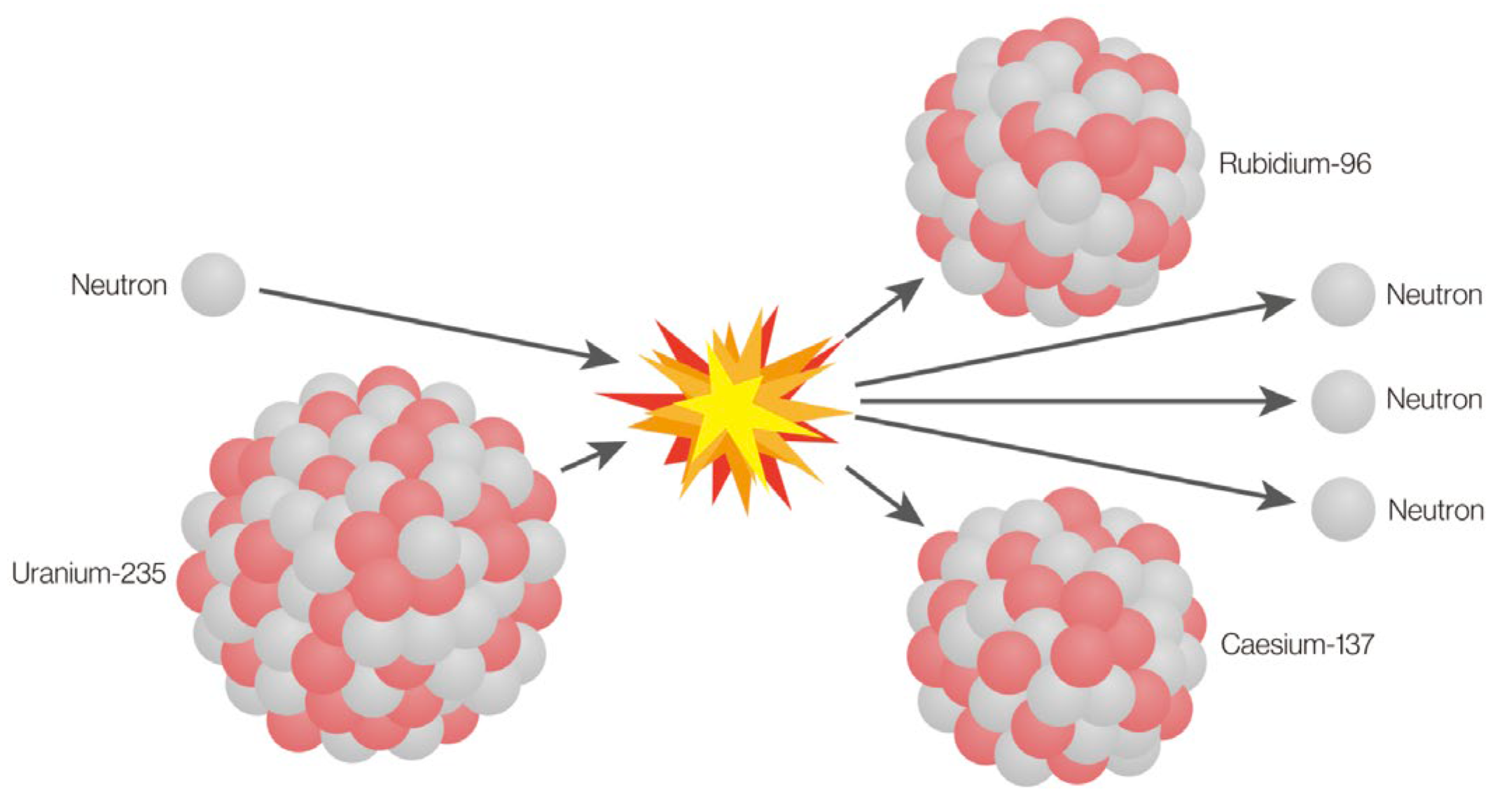 Diagnostics 15 00927 g001