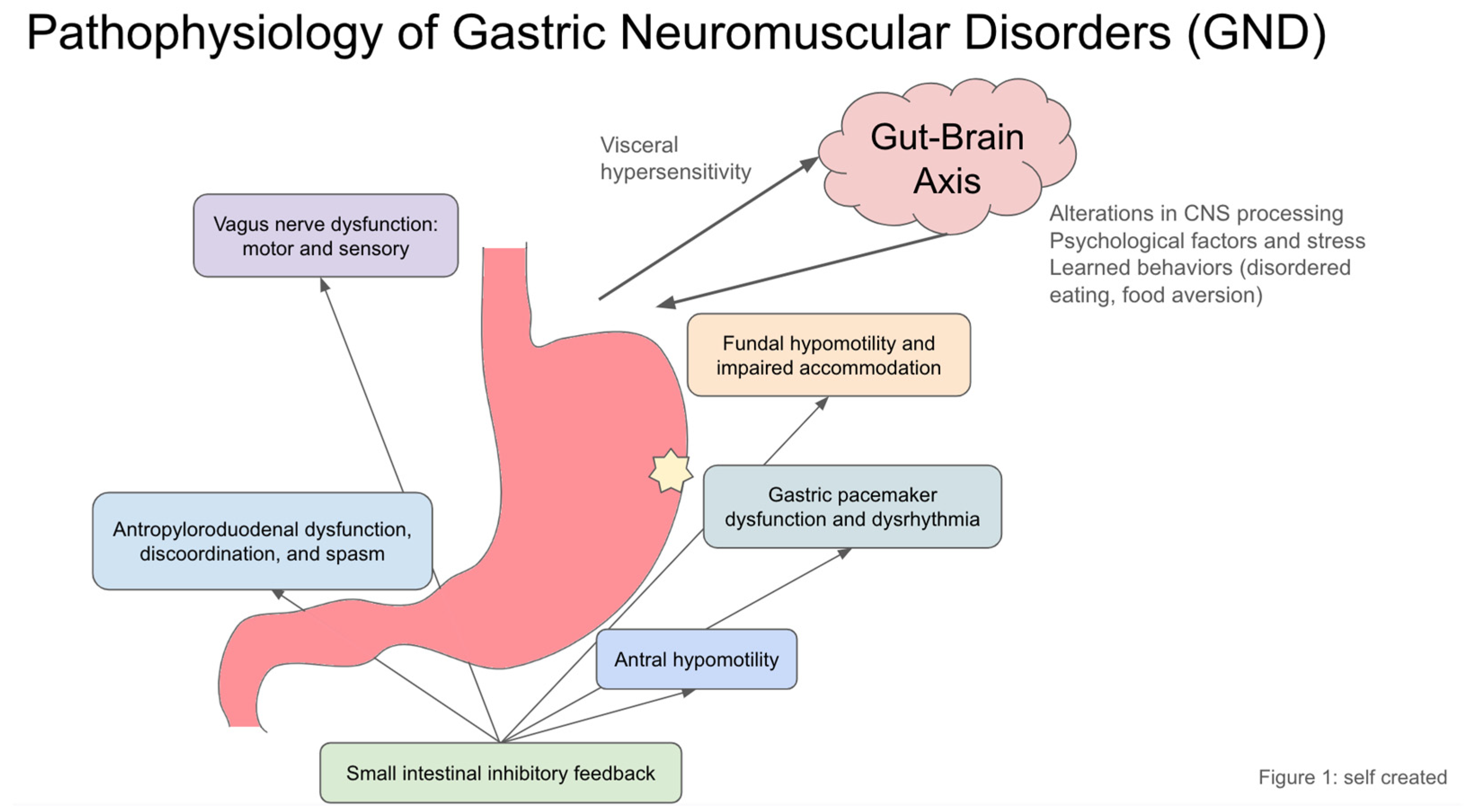 Diagnostics 15 00935 g001