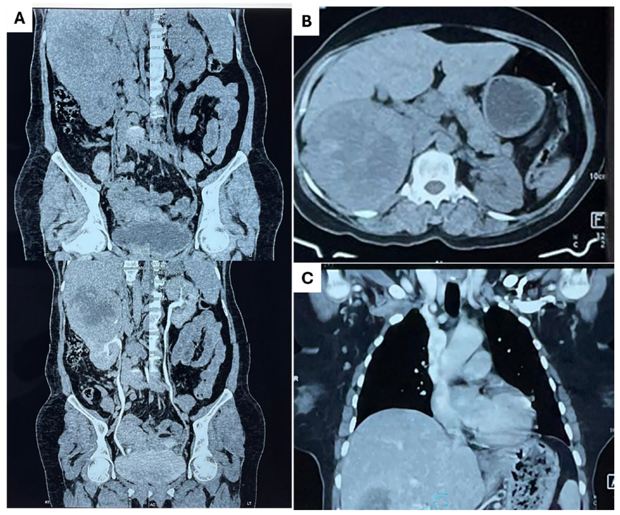 Diagnostics 15 00938 g002