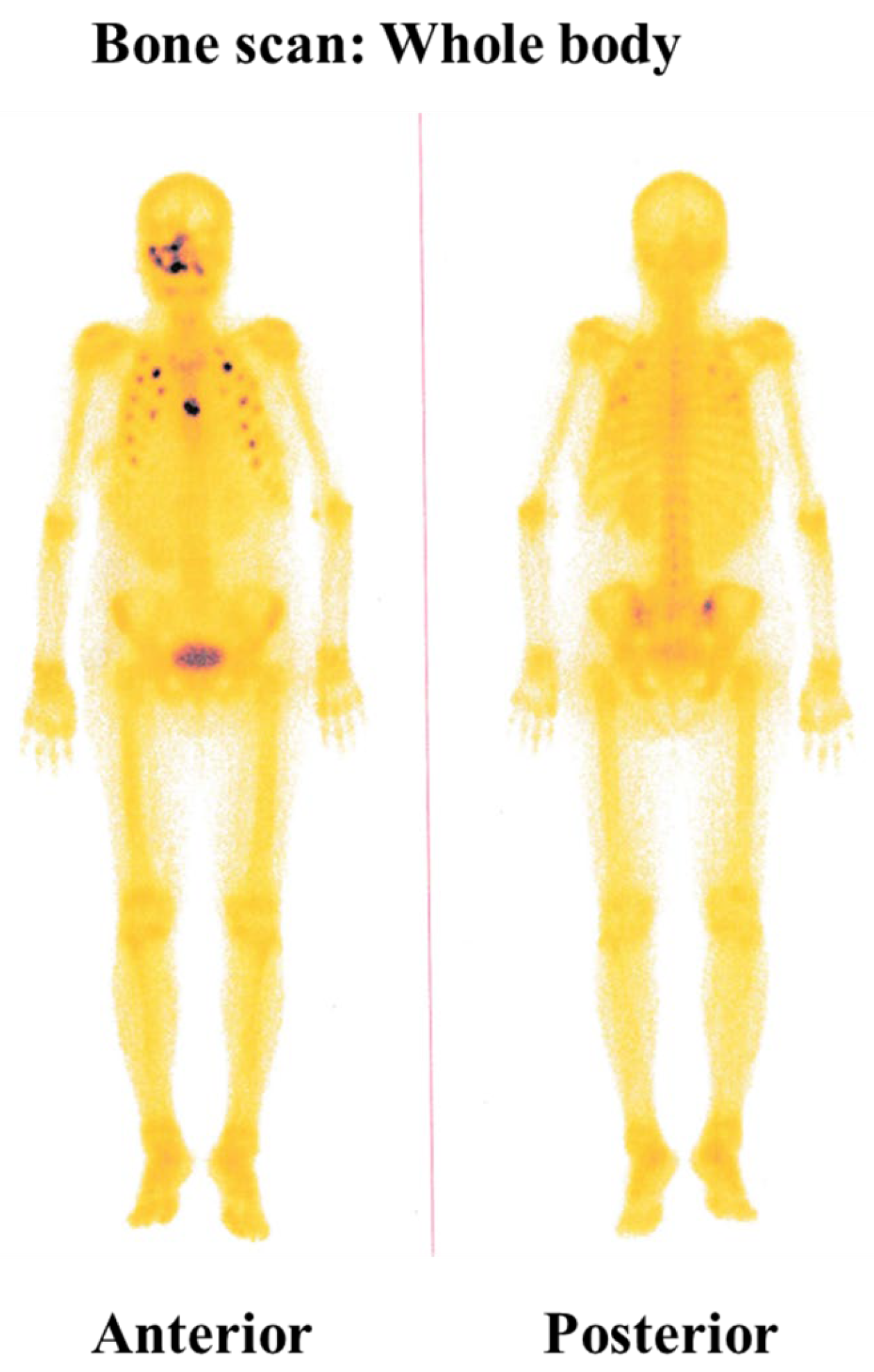 Diagnostics 15 00938 g003