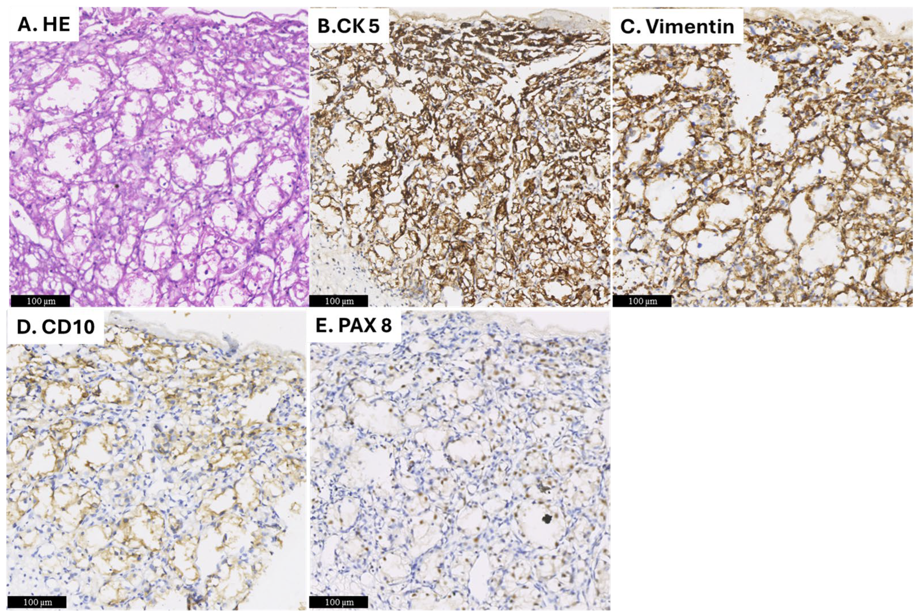 Diagnostics 15 00938 g005