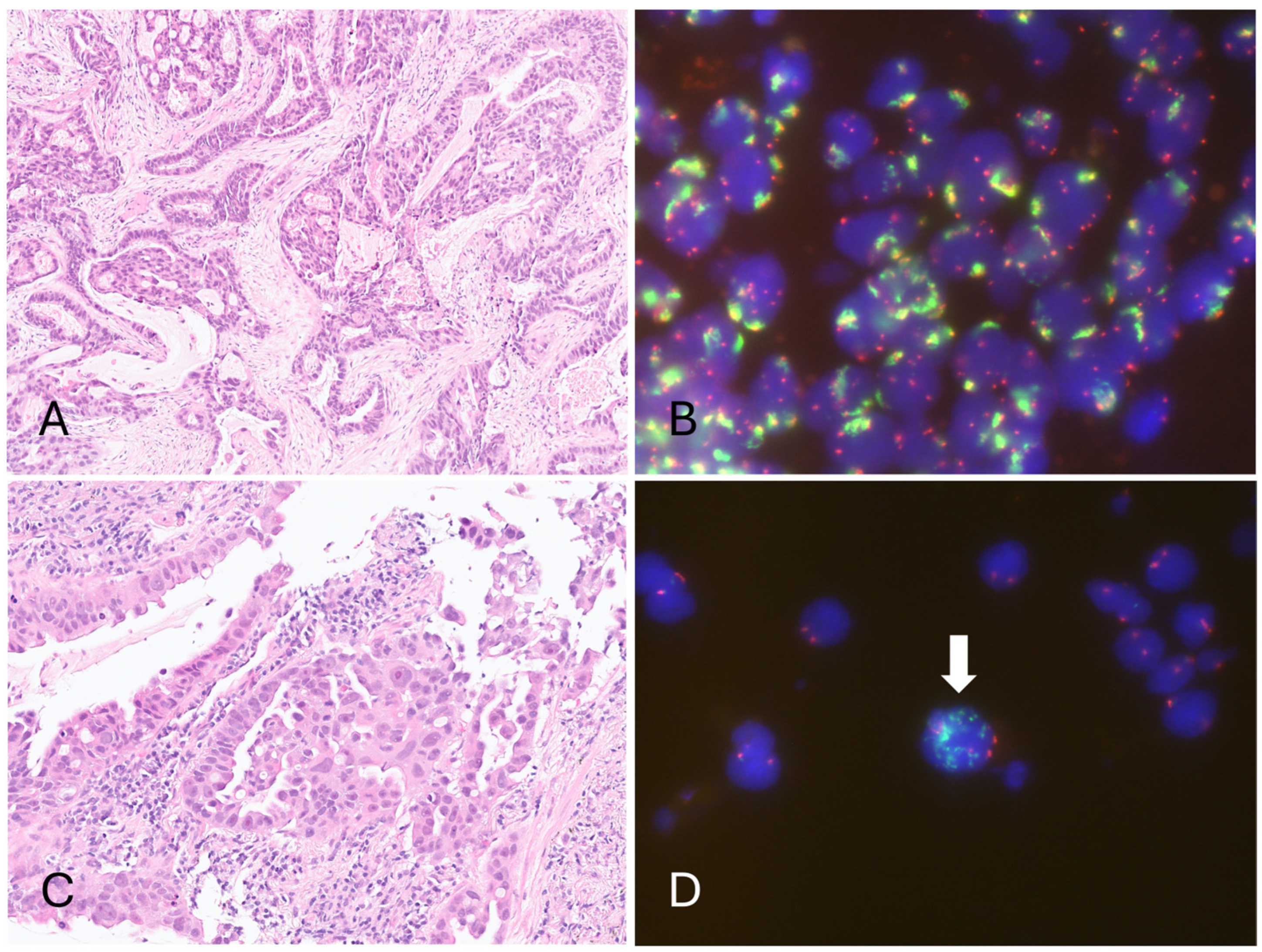Diagnostics 15 00948 g002