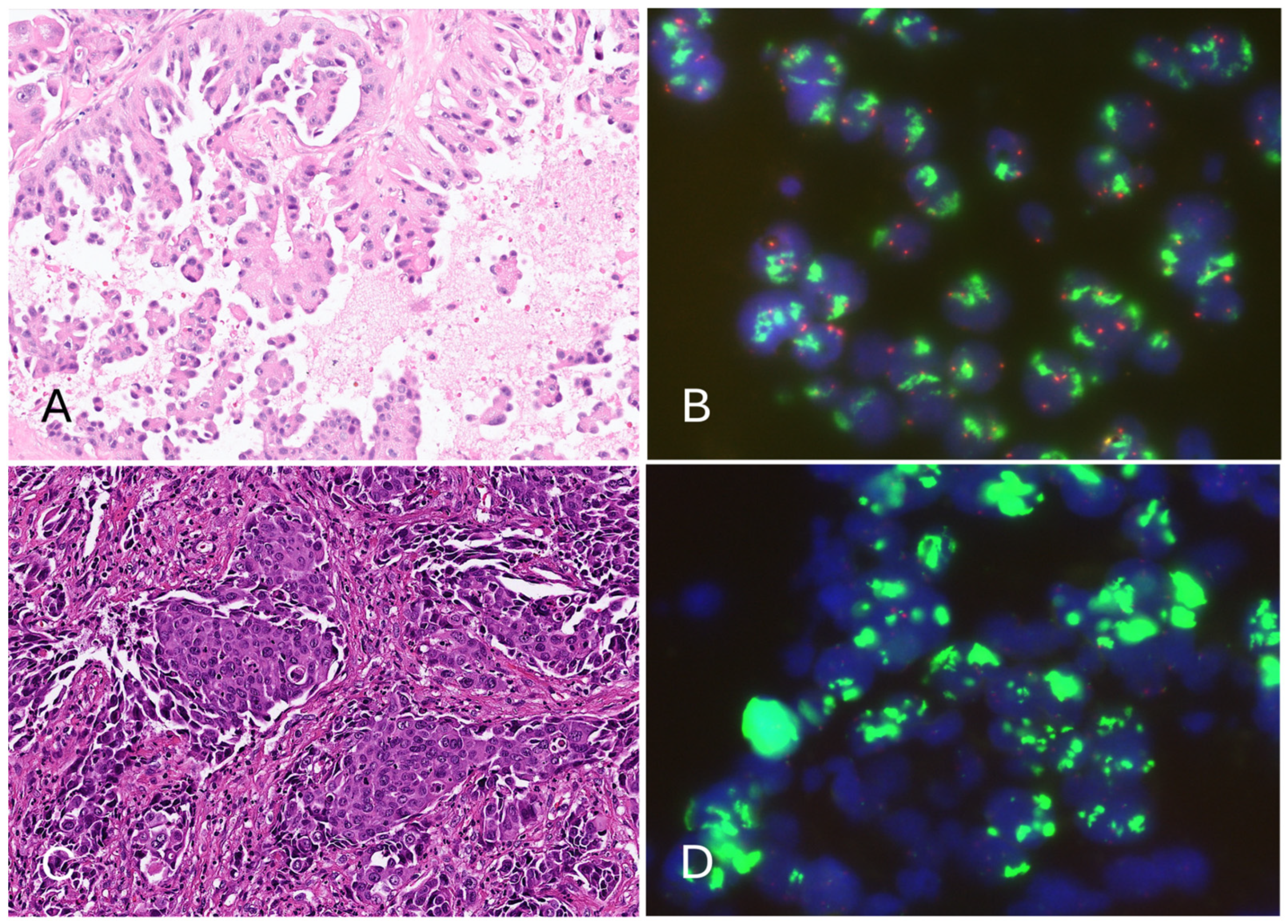 Diagnostics 15 00948 g003
