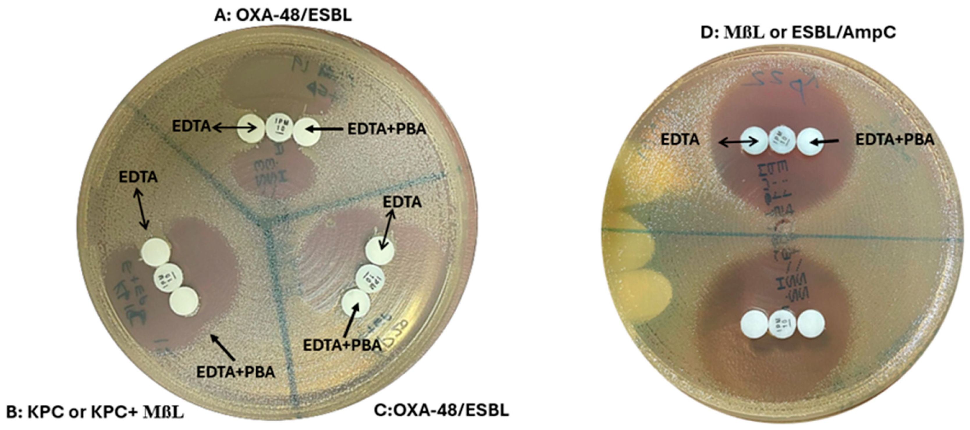 Diagnostics 15 00949 g003