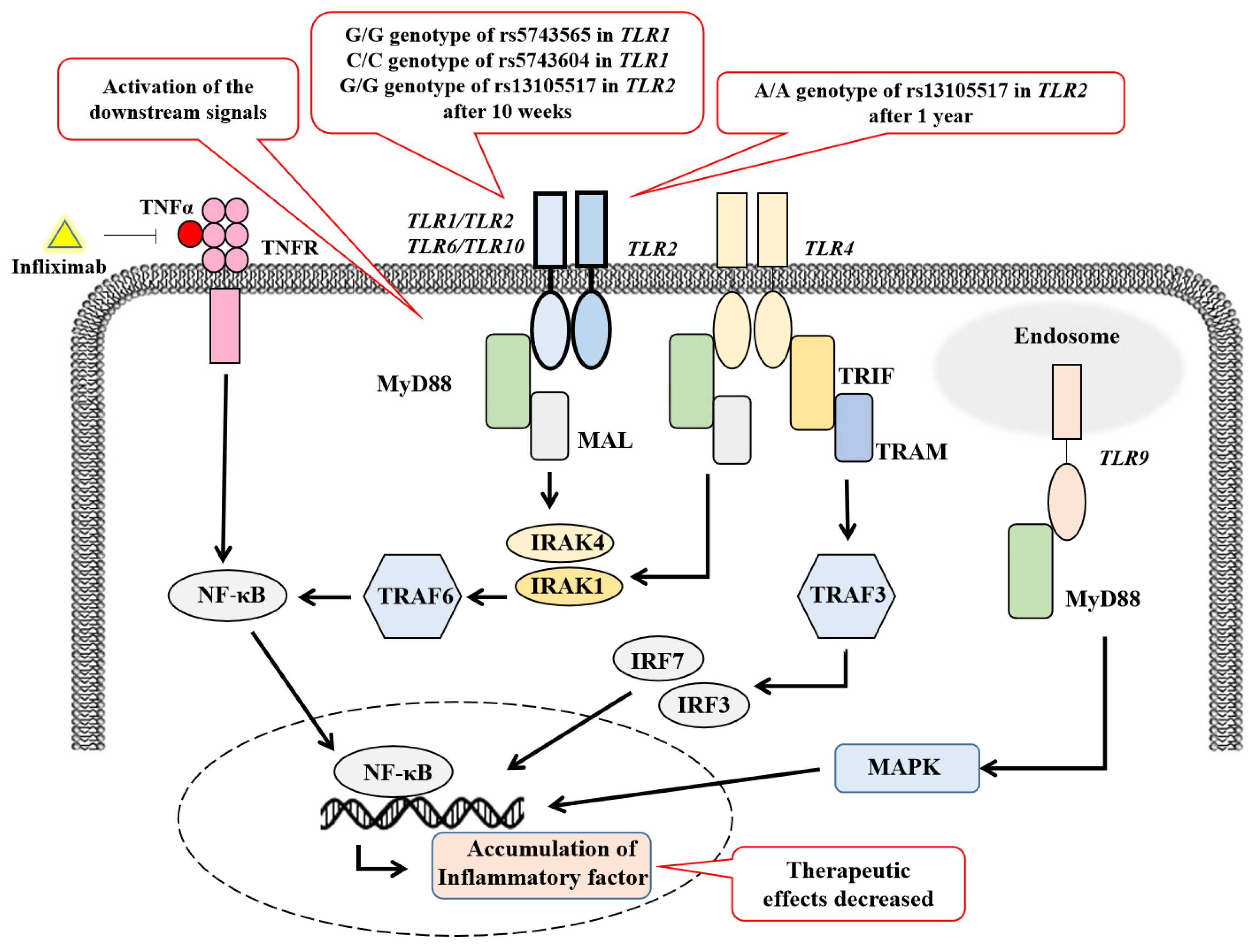 Diagnostics 15 00971 g003 Diagnostics 15 00971 g003