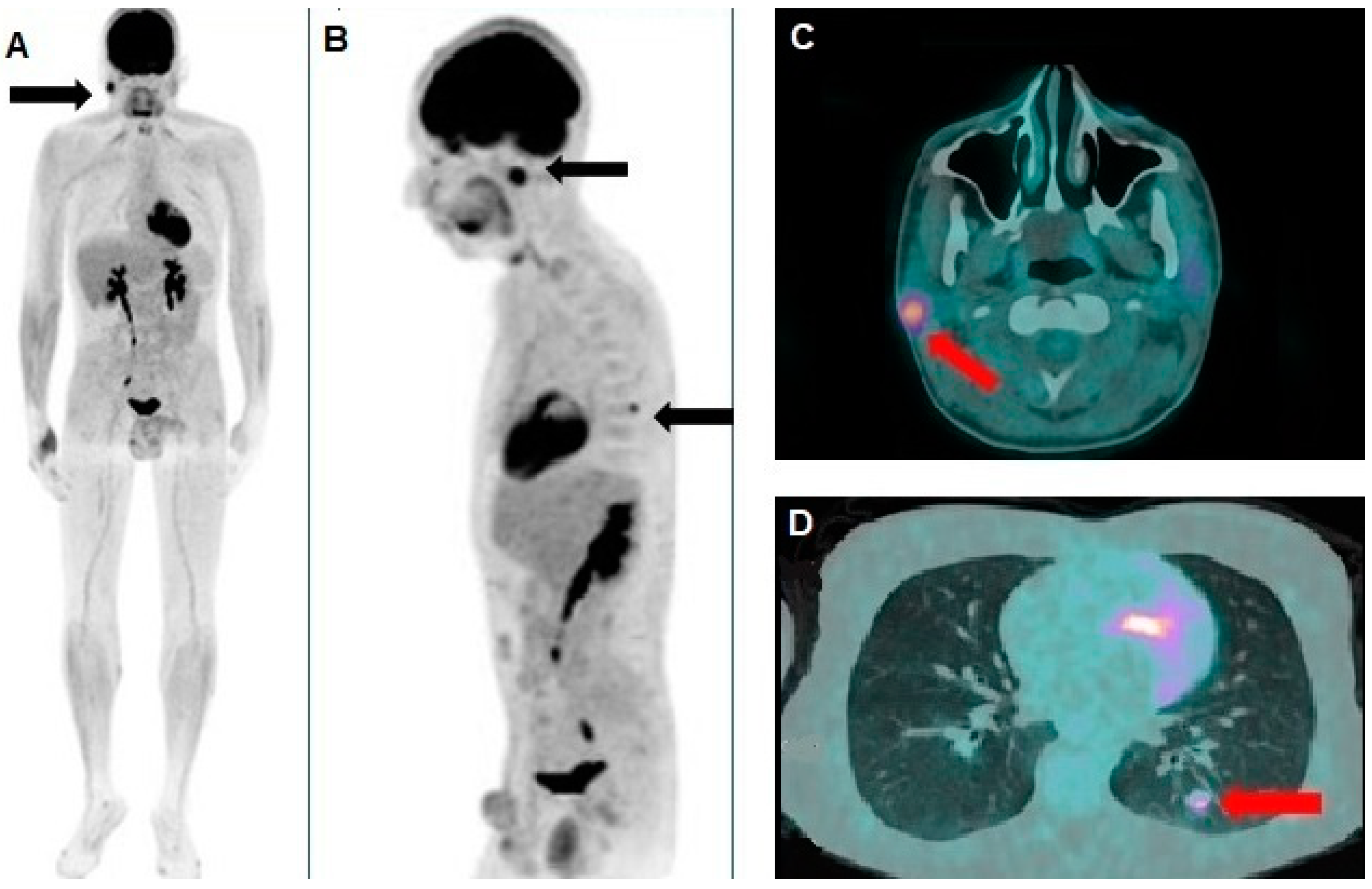 Diagnostics 15 00979 g002