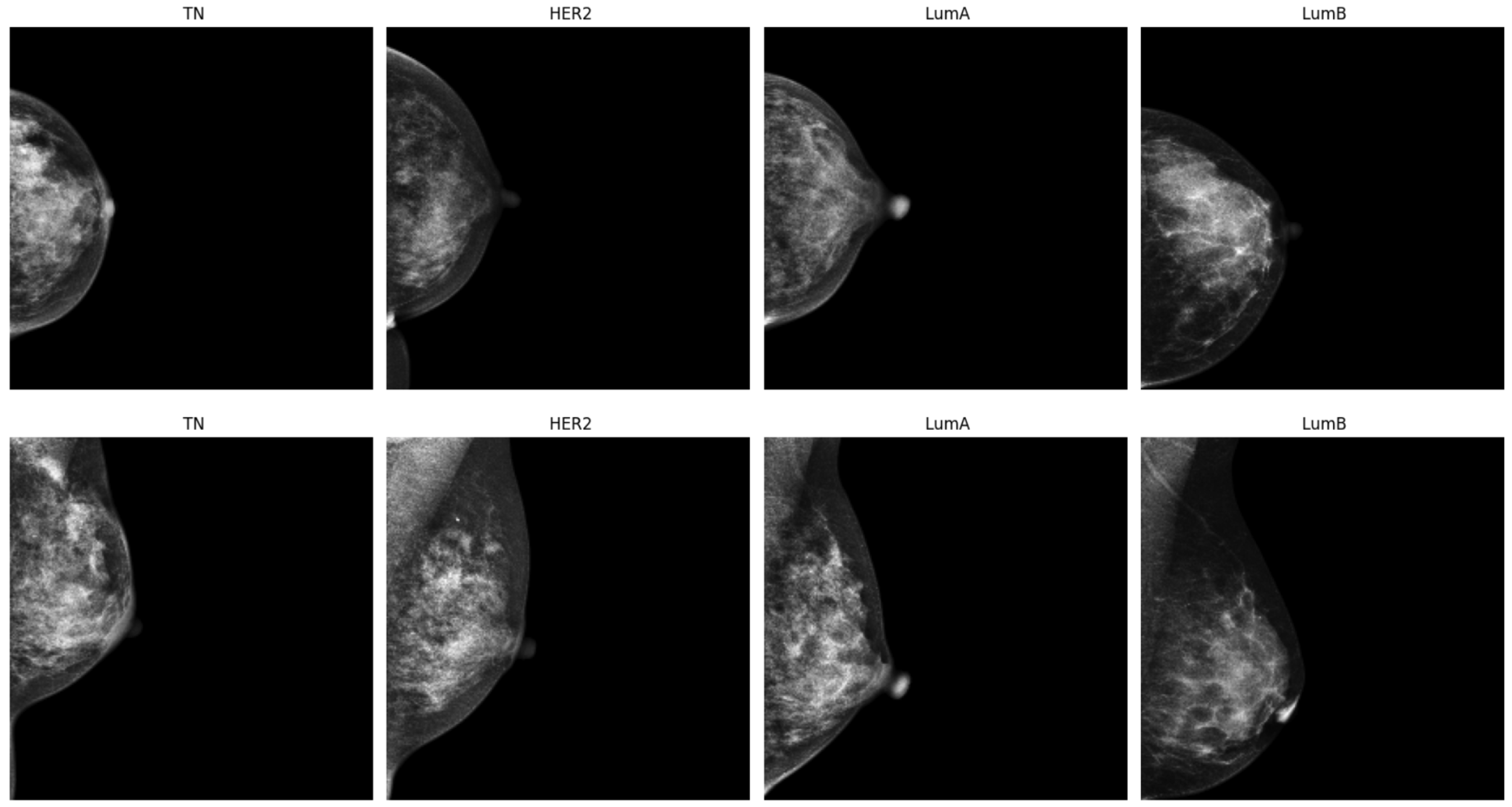 Diagnostics 15 00995 g001