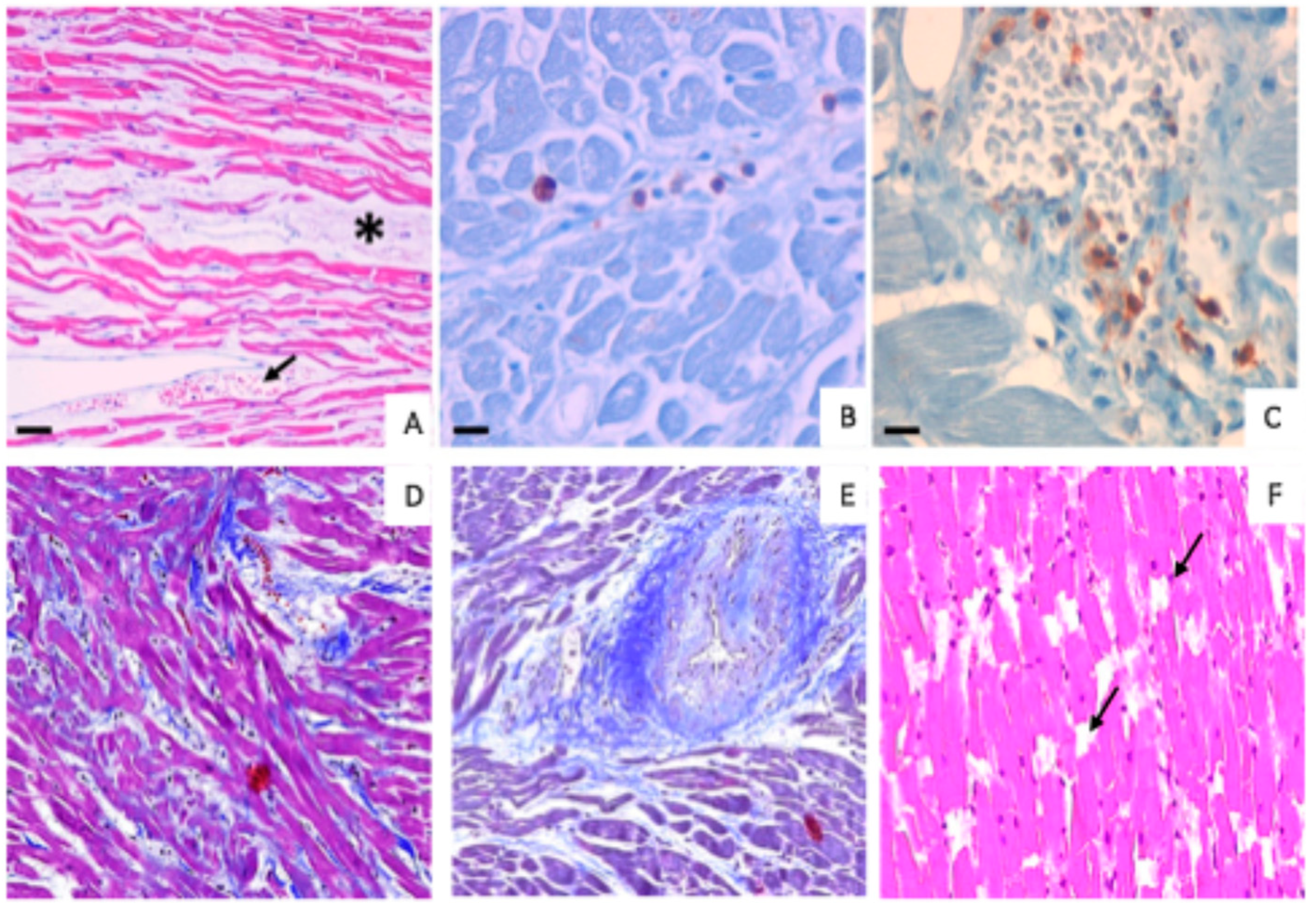 Diagnostics 15 00999 g002 Diagnostics 15 00999 g002