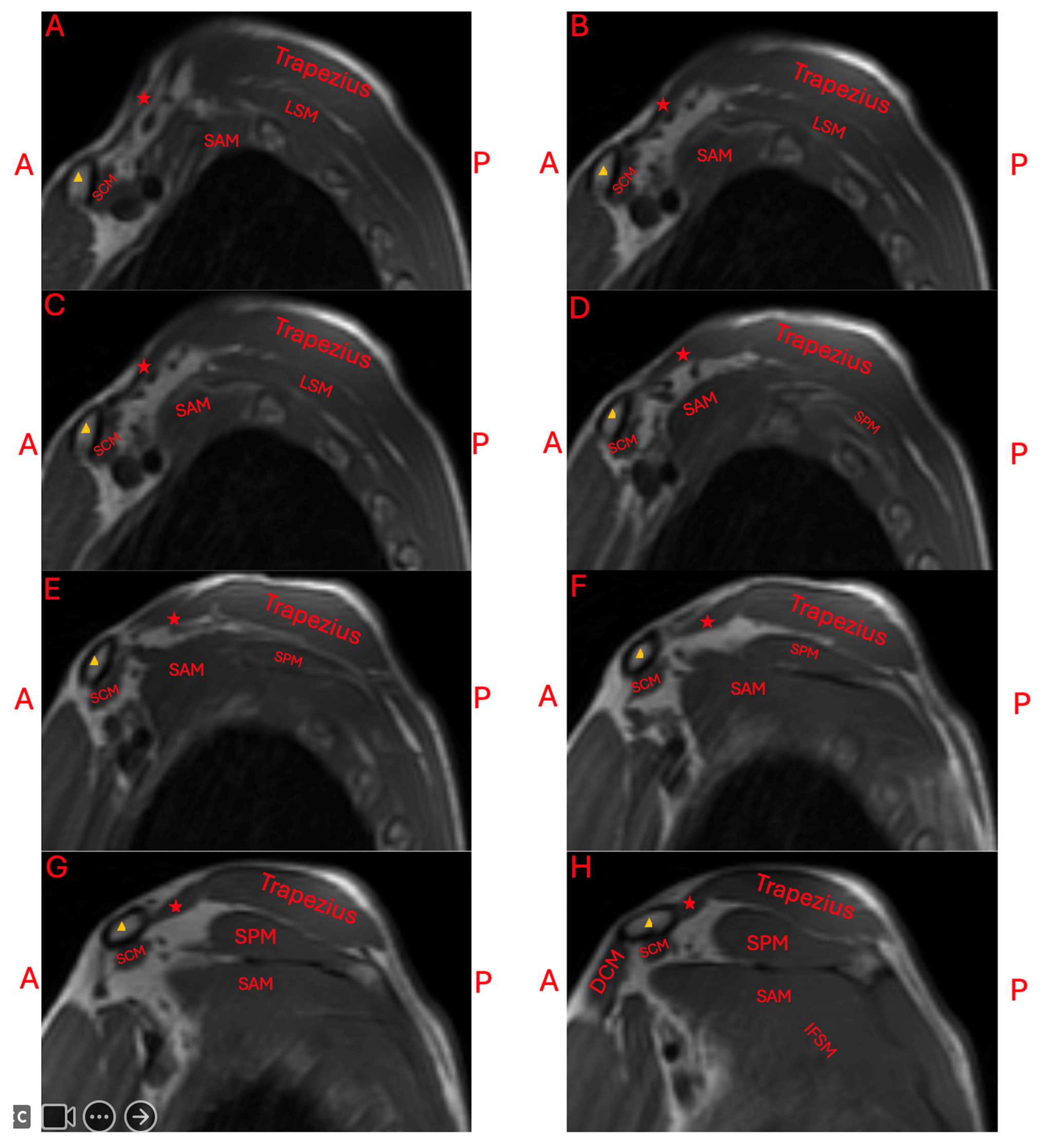 Diagnostics 15 01008 g003