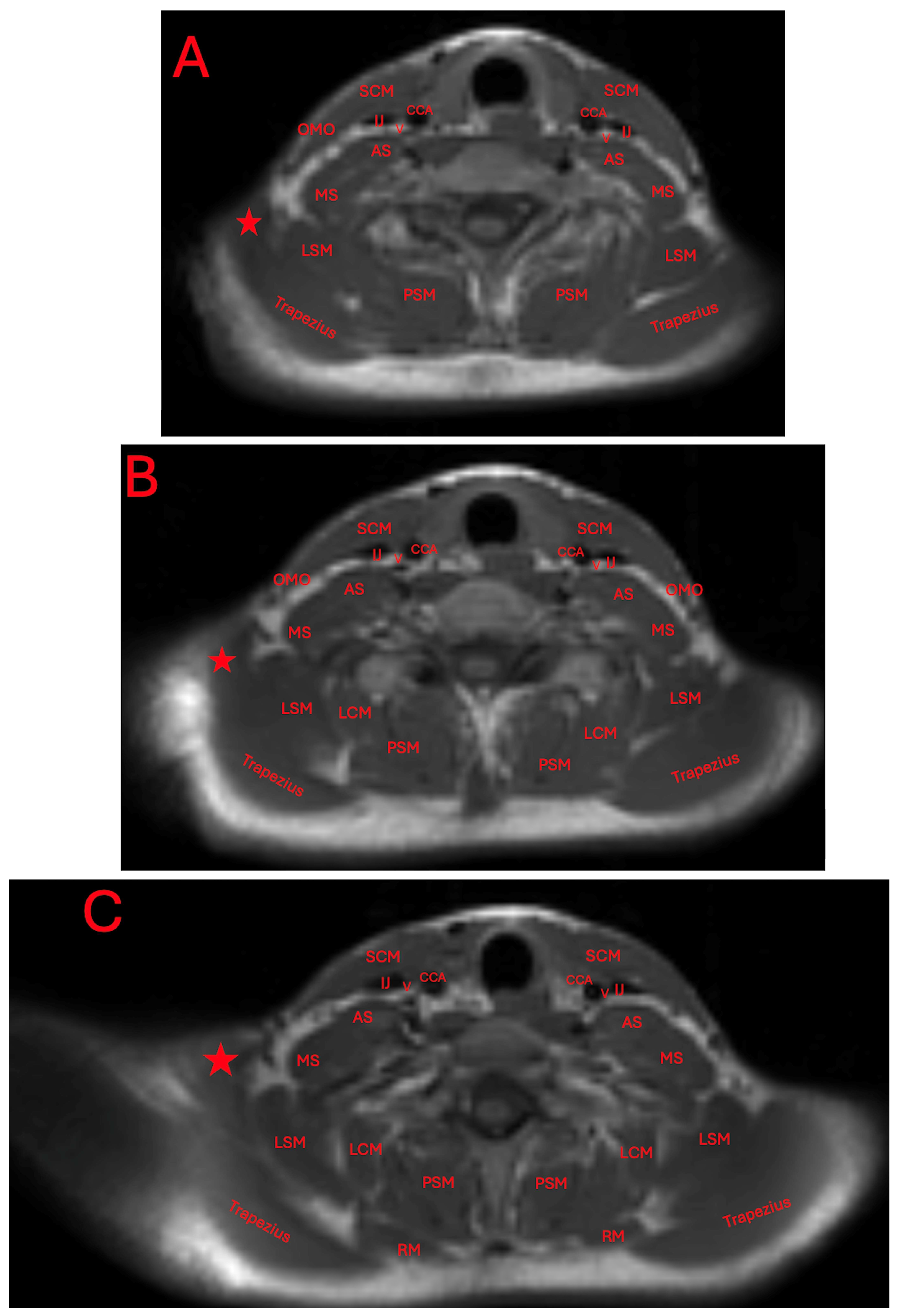 Diagnostics 15 01008 g004a