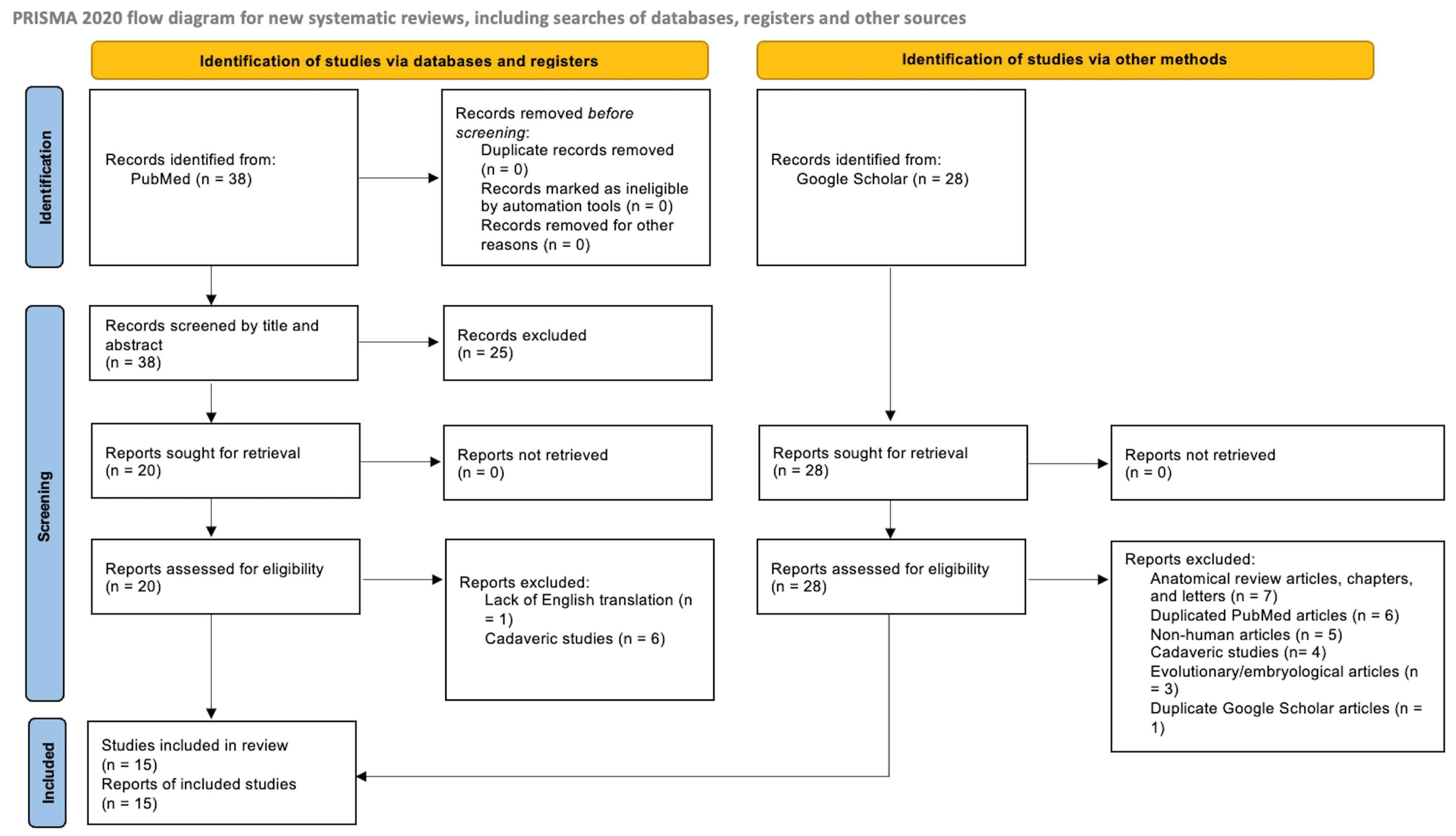 Diagnostics 15 01008 g005