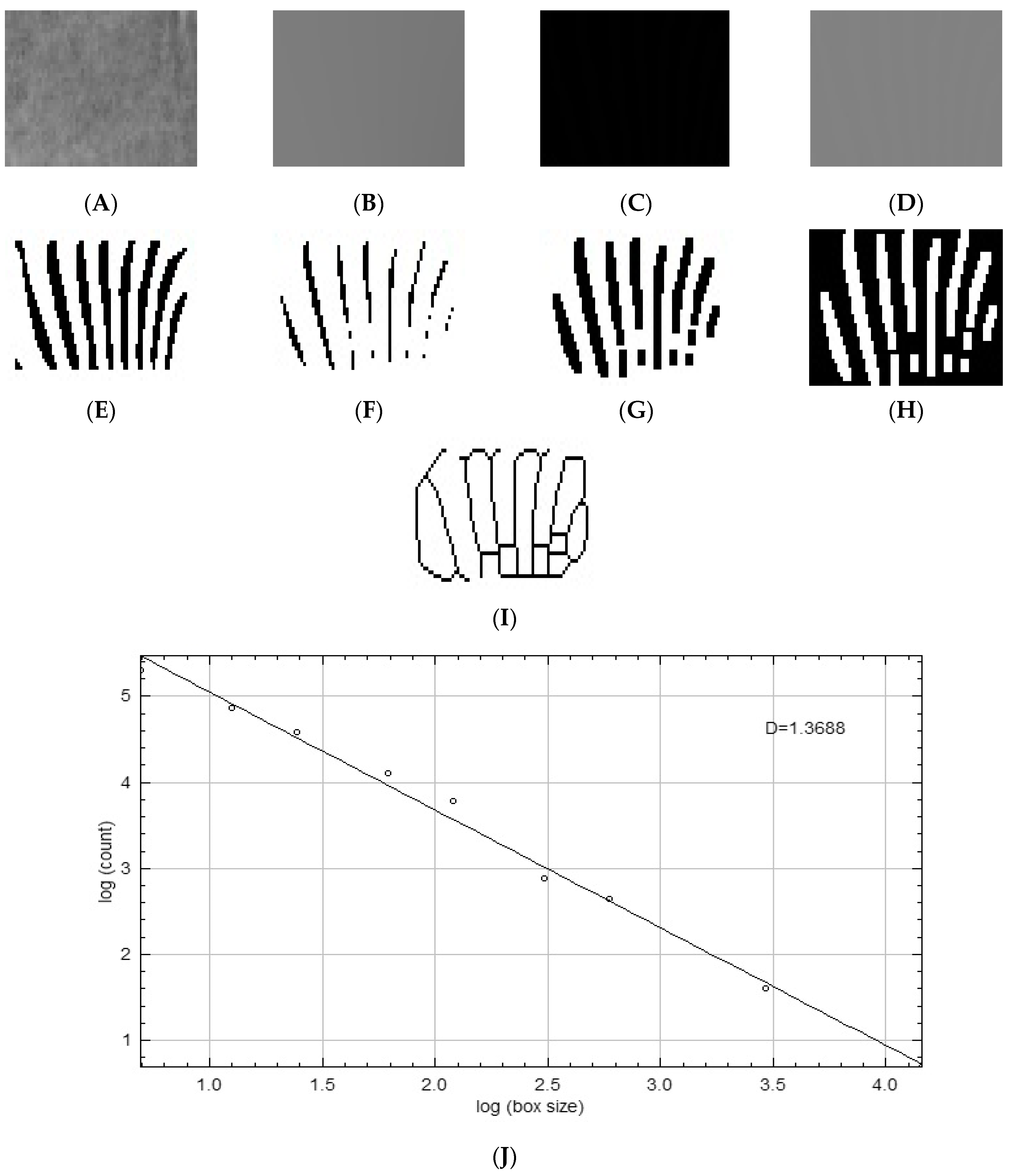 Diagnostics 15 01013 g002