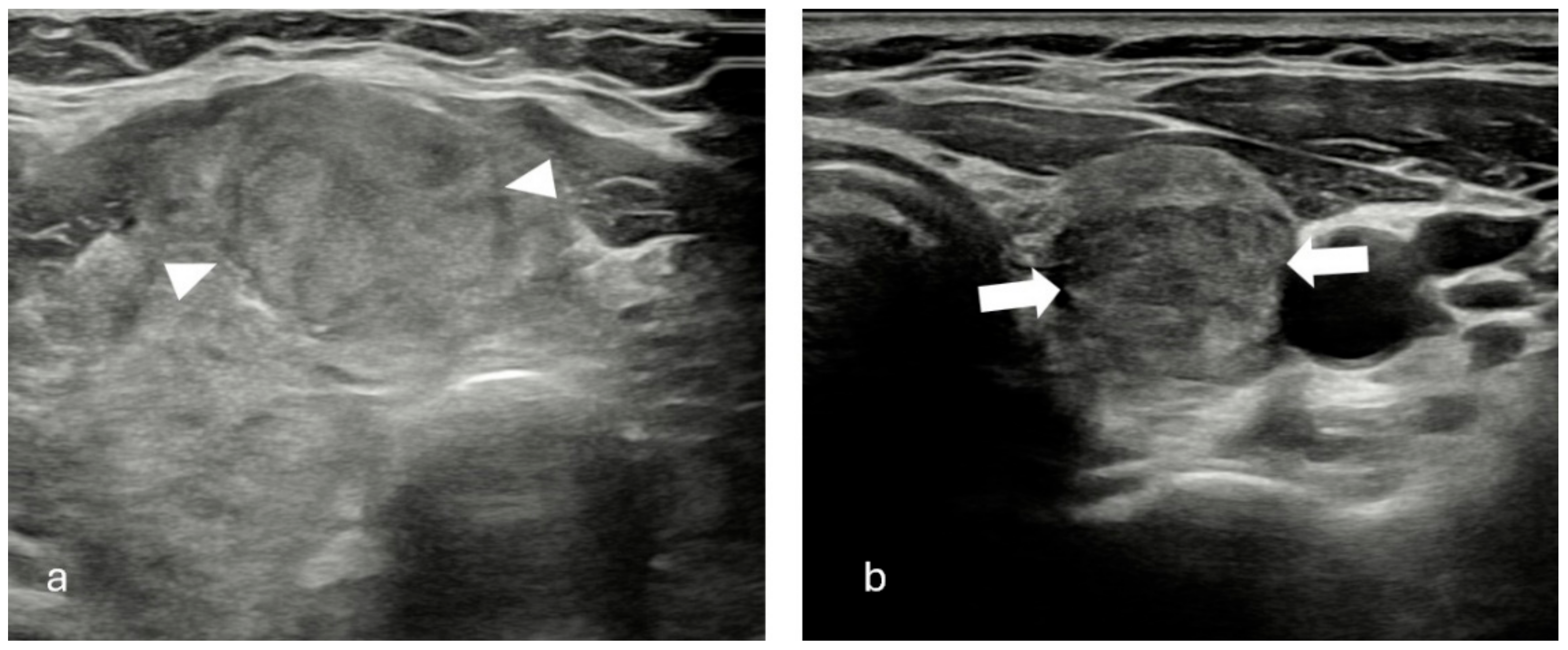 Diagnostics 15 01015 g001