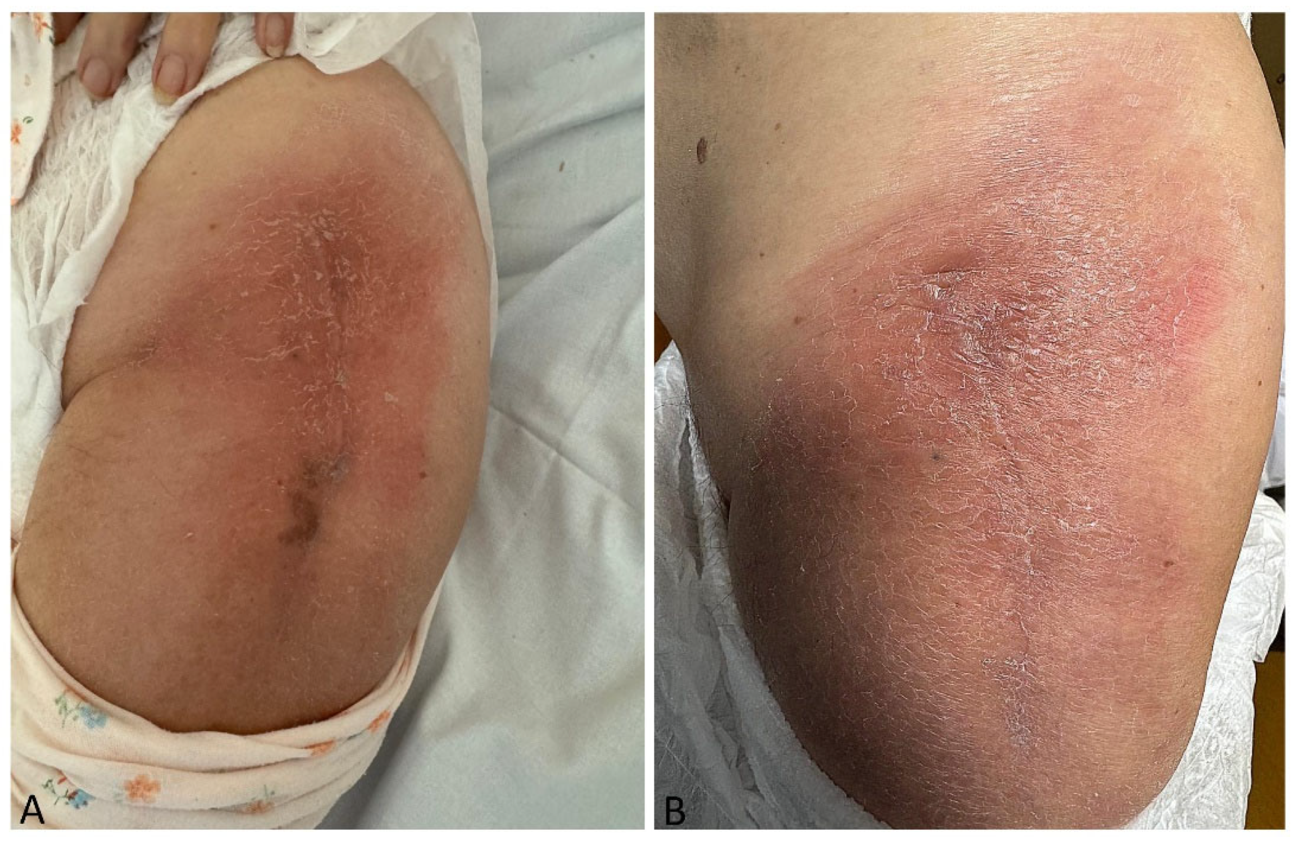 Diagnostics 15 01017 g001