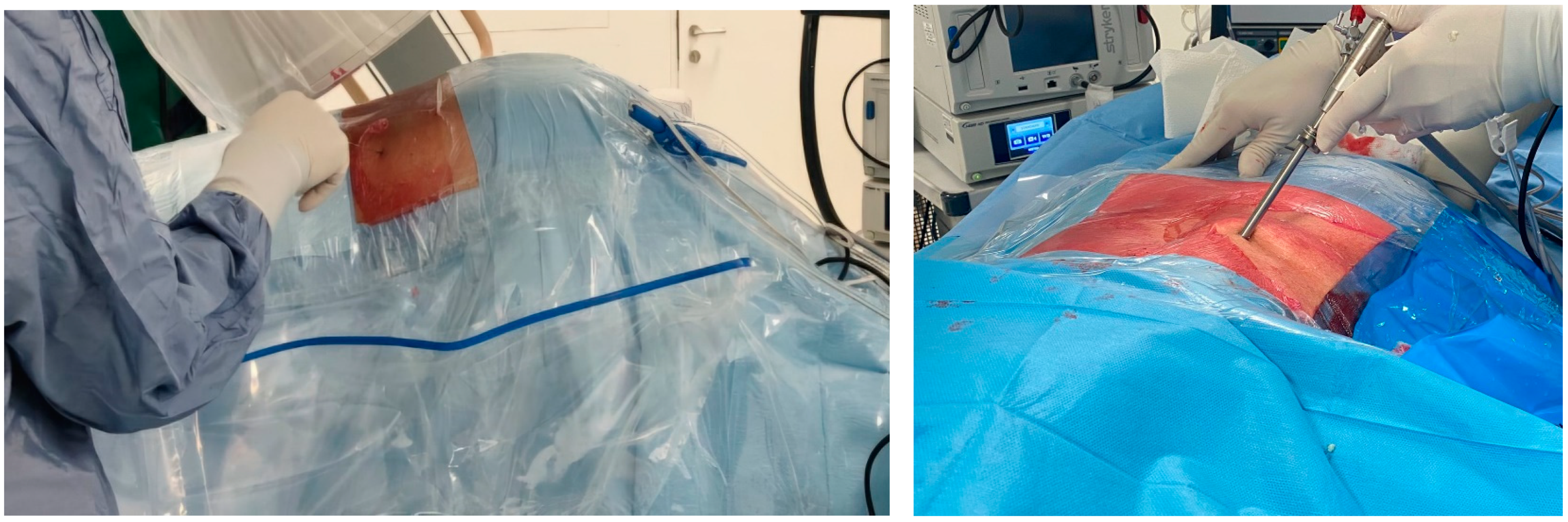 Diagnostics 15 01021 g002