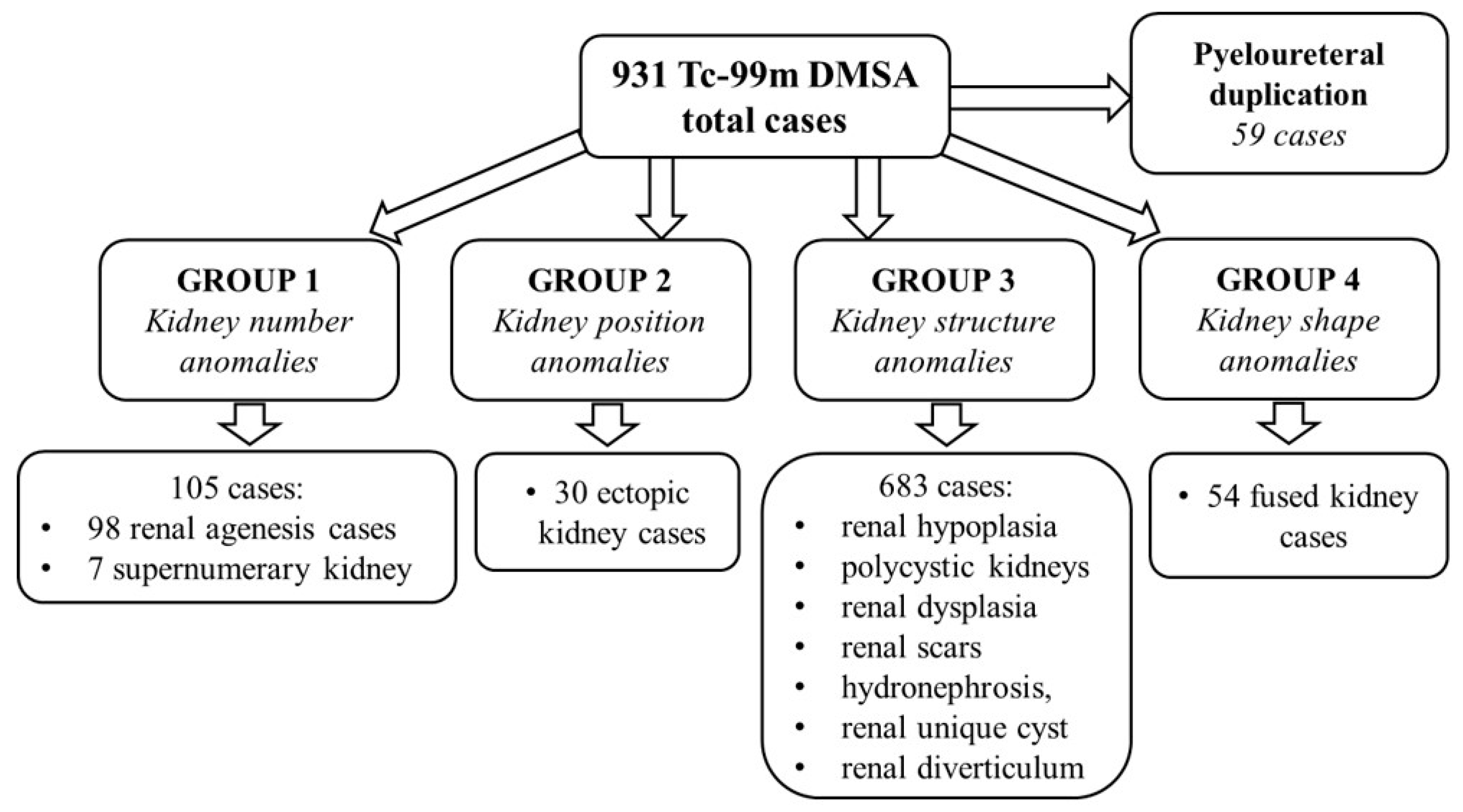 Diagnostics 15 01025 g002