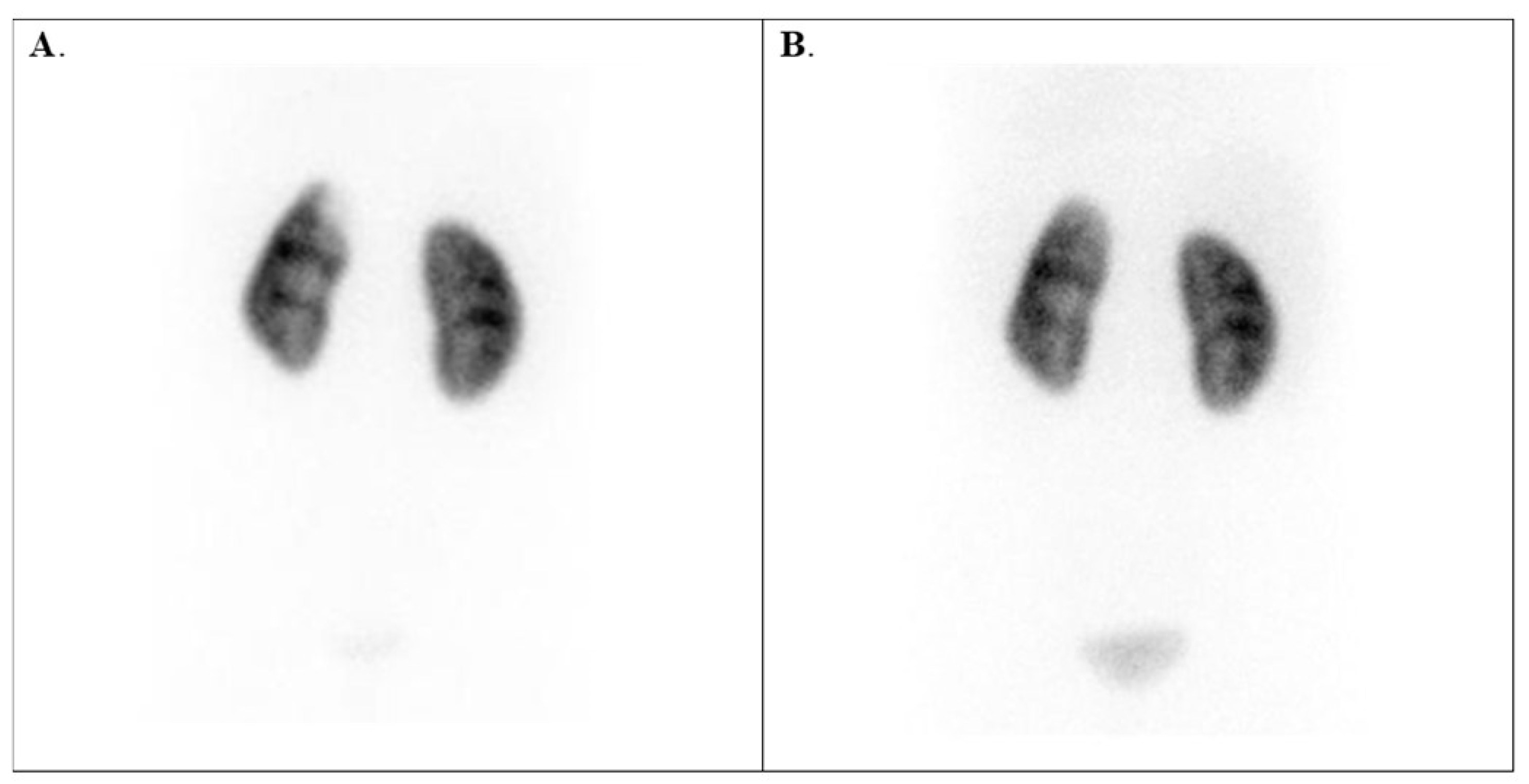 Diagnostics 15 01025 g004