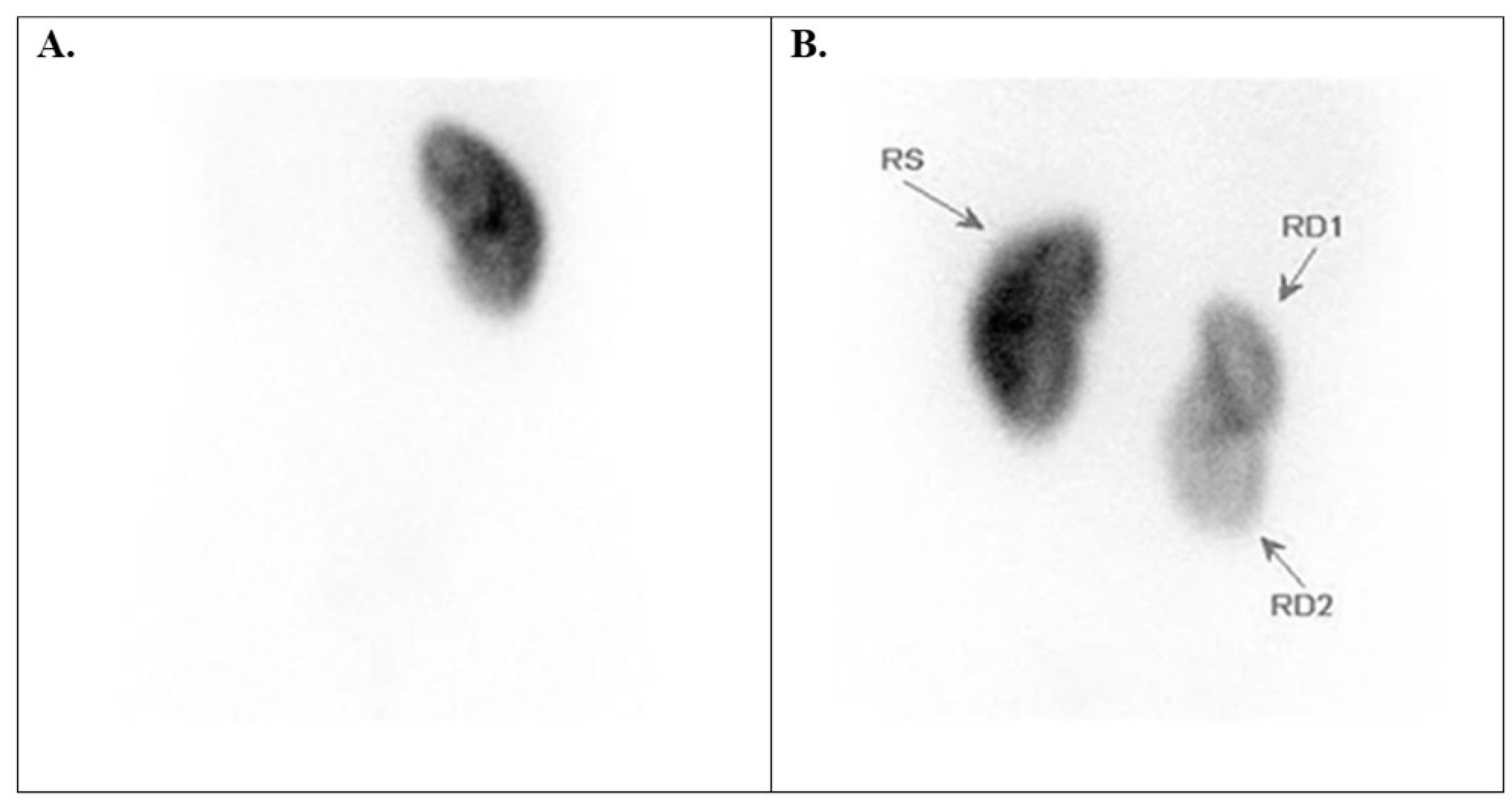 Diagnostics 15 01025 g005
