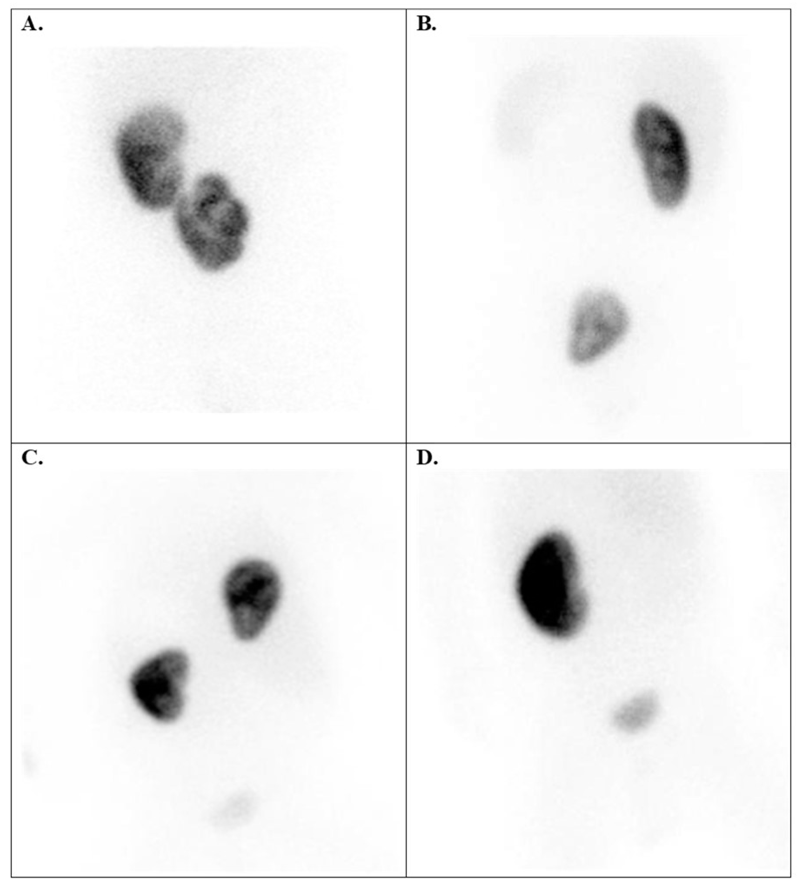 Diagnostics 15 01025 g006