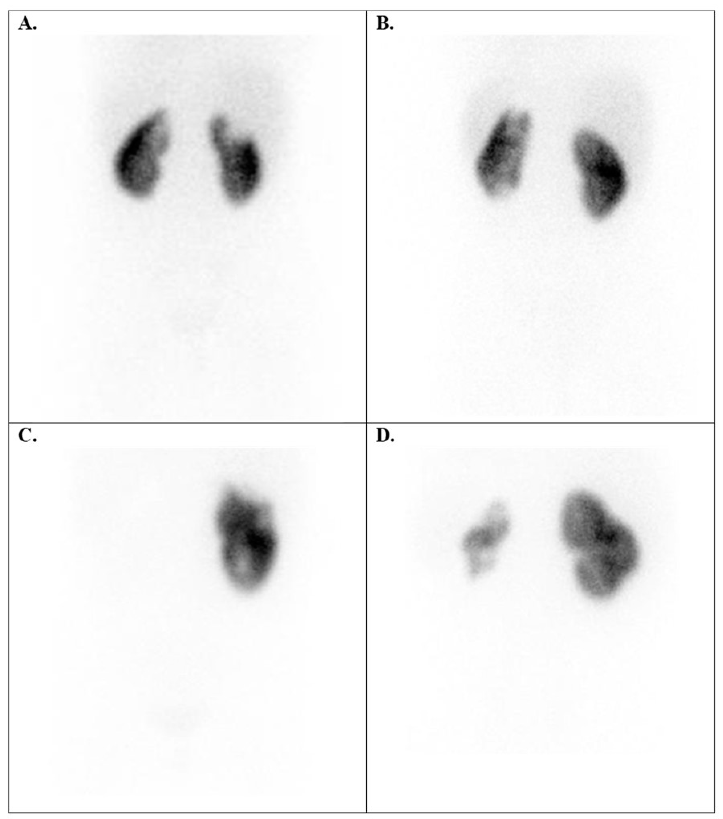 Diagnostics 15 01025 g007