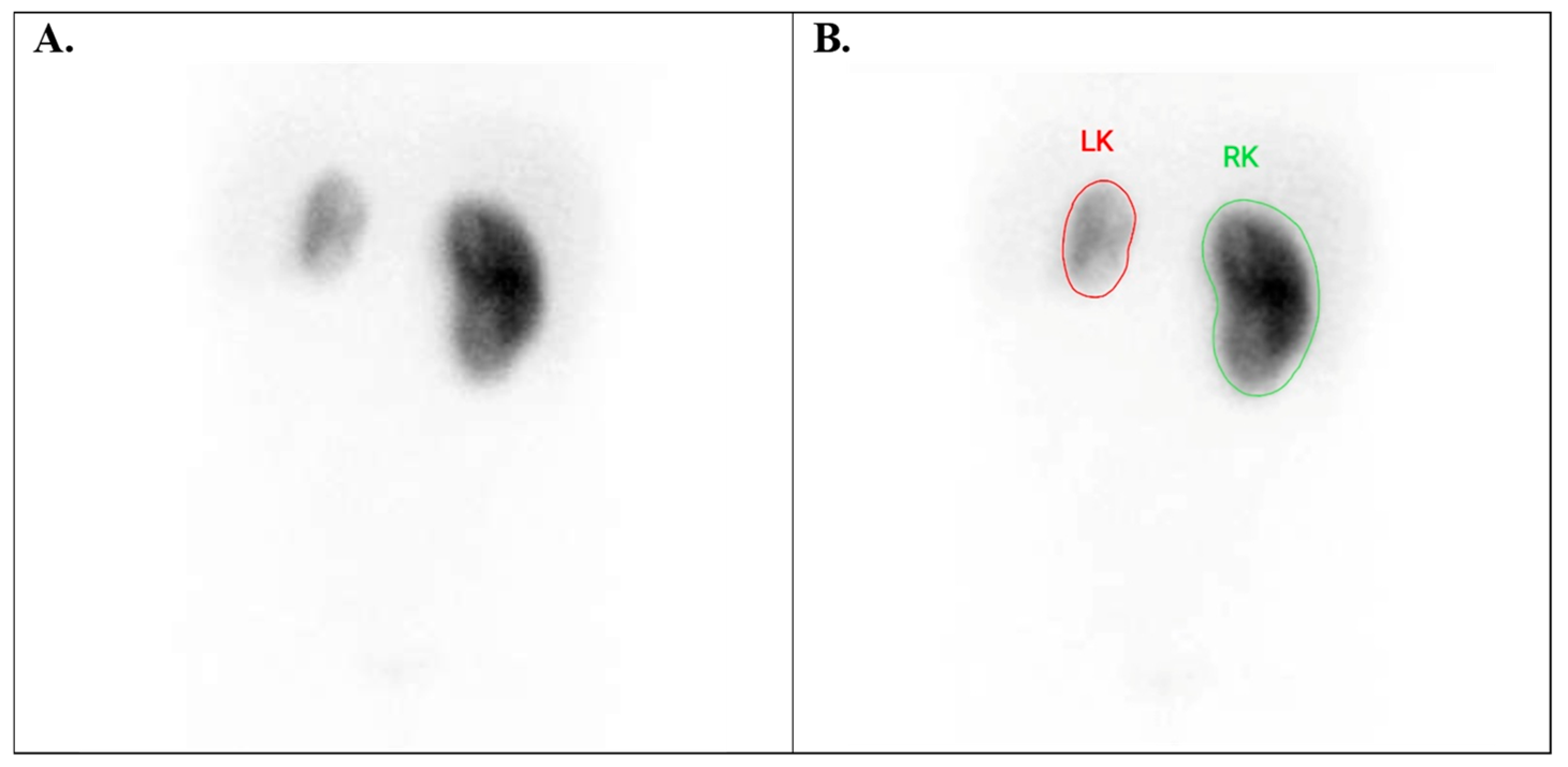 Diagnostics 15 01025 g008