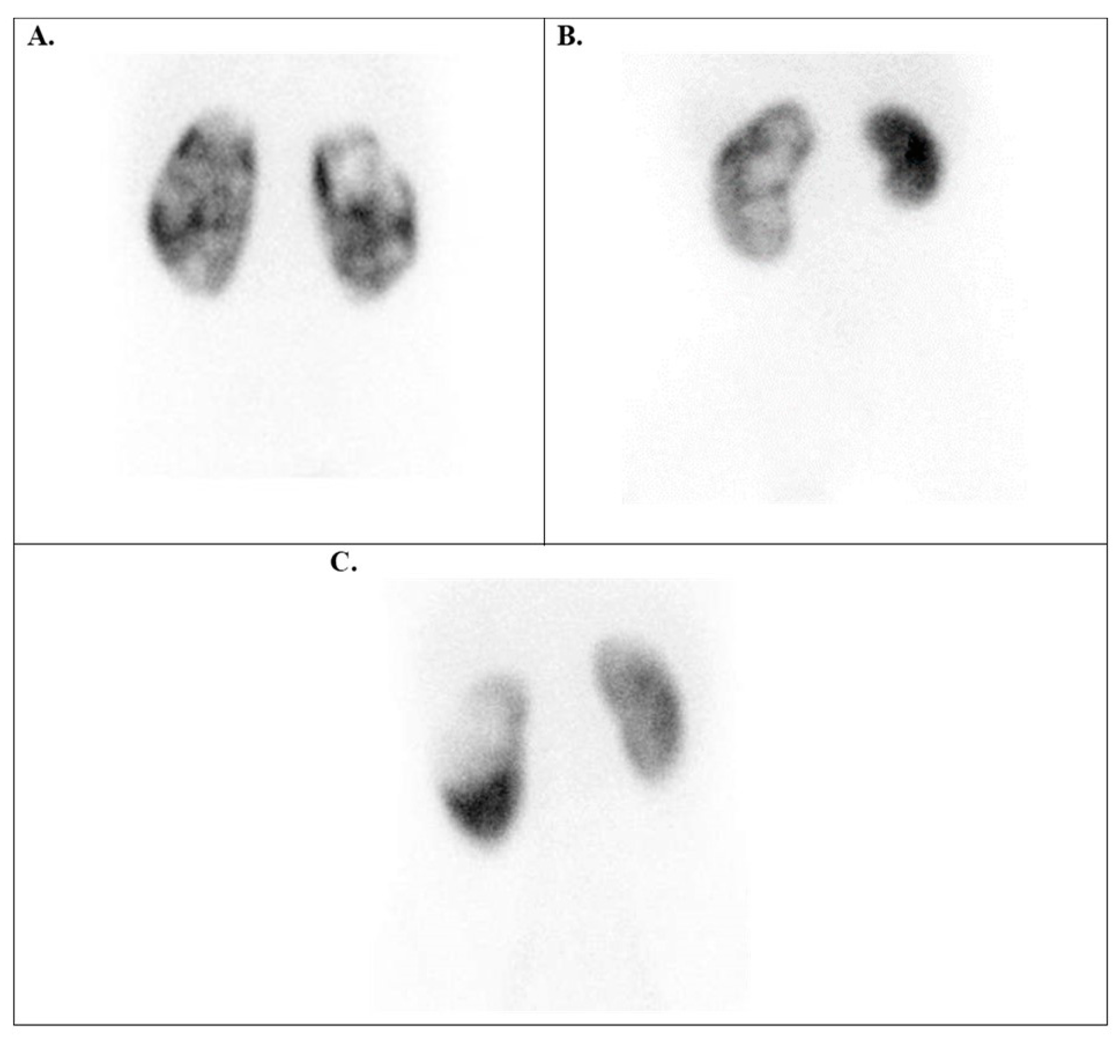 Diagnostics 15 01025 g009