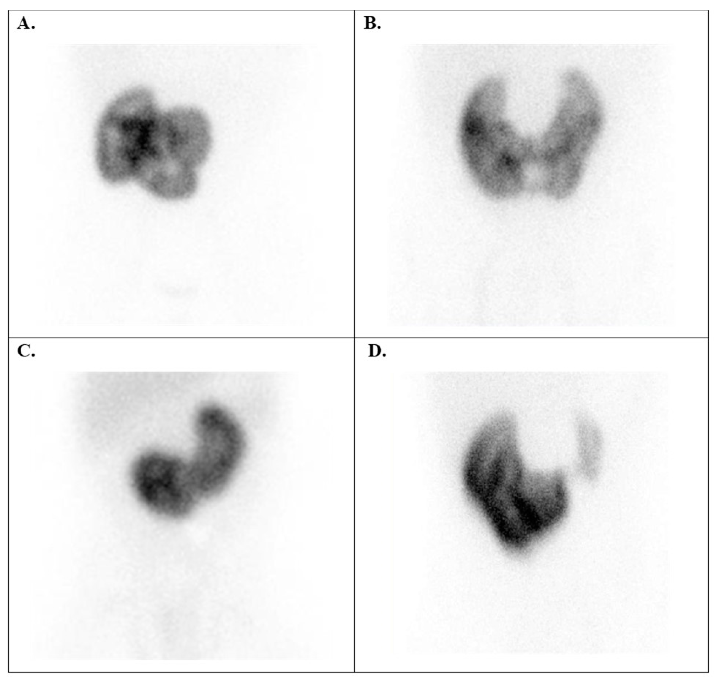 Diagnostics 15 01025 g010