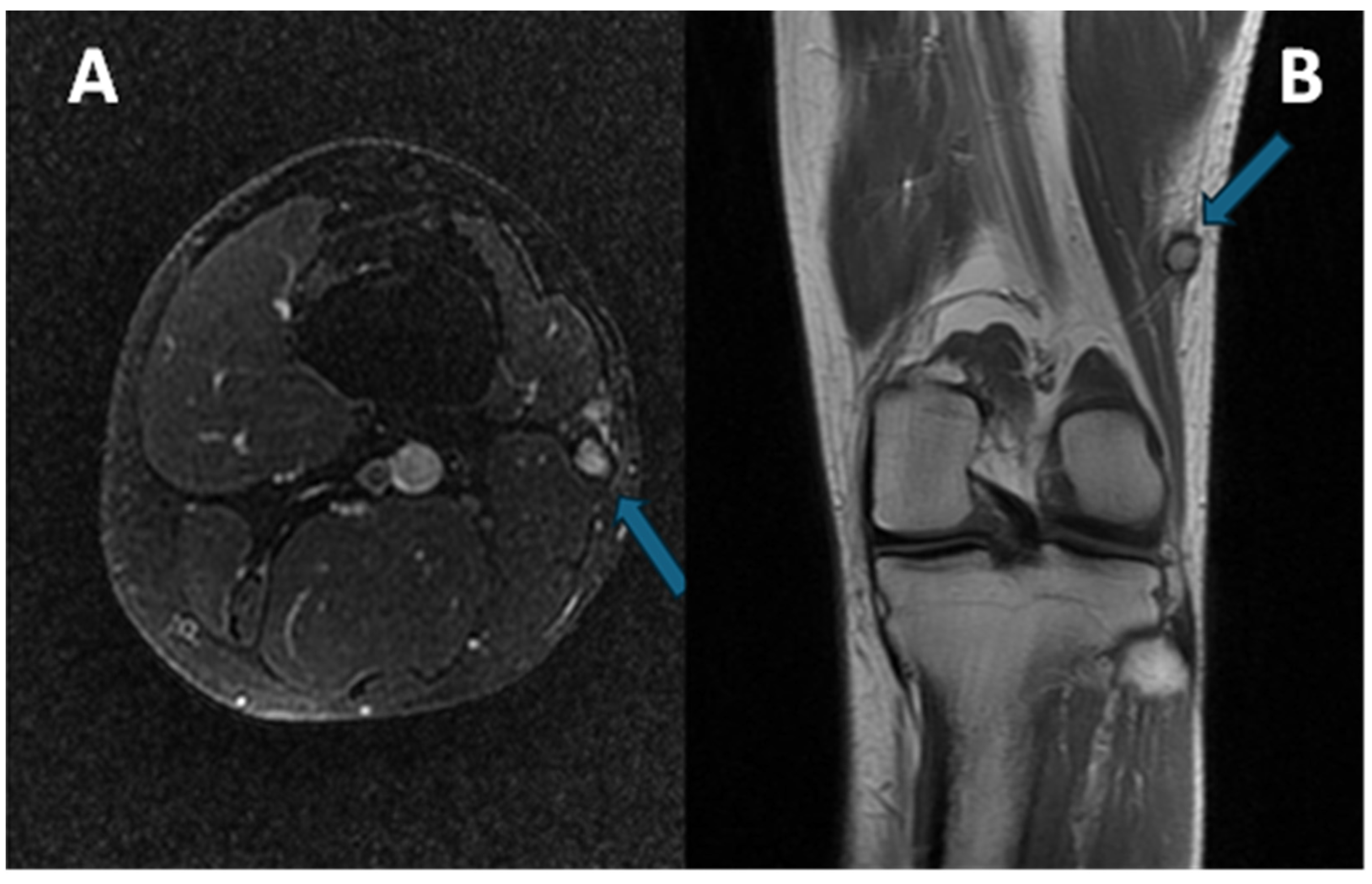 Diagnostics 15 01027 g002