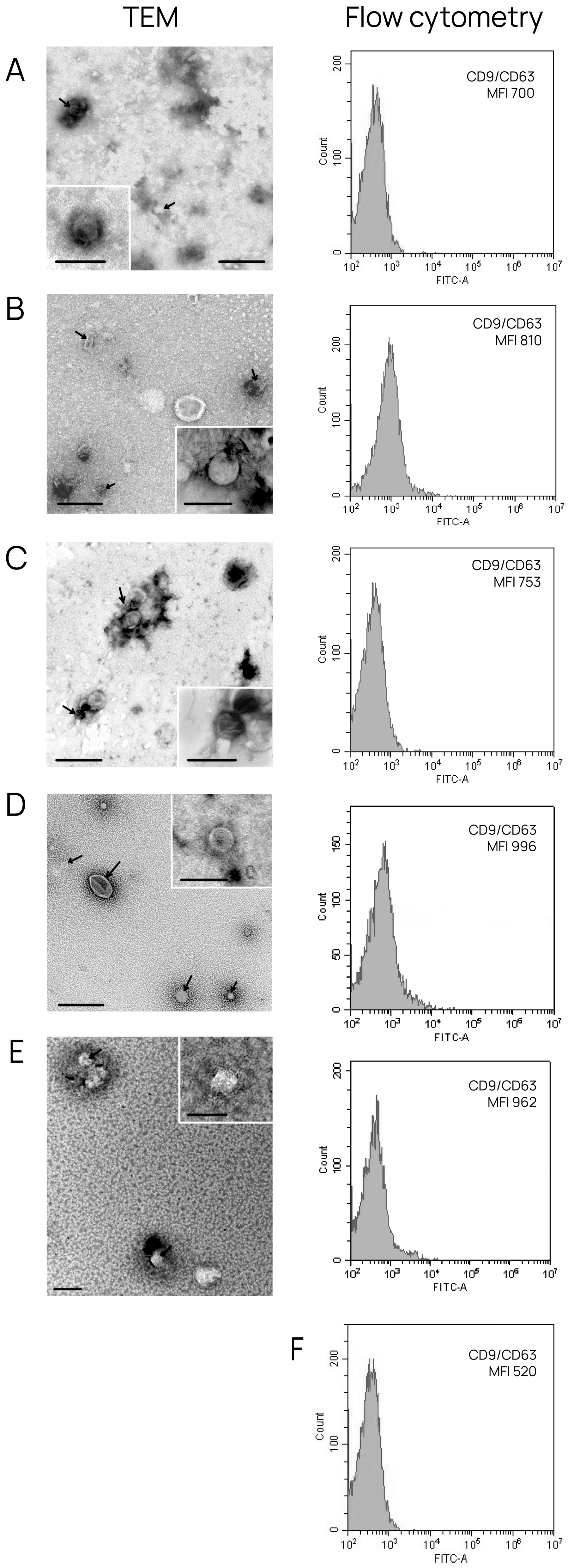 Diagnostics 15 01028 g001