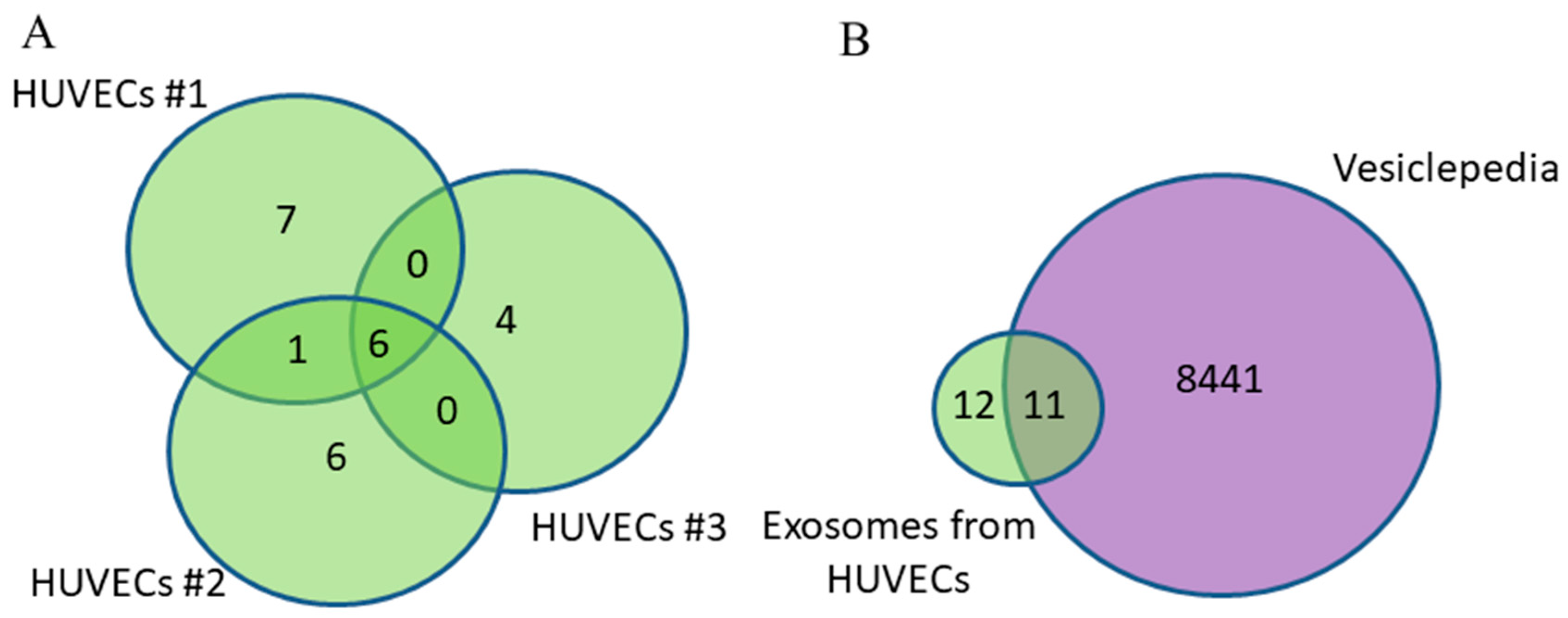 Diagnostics 15 01028 g002