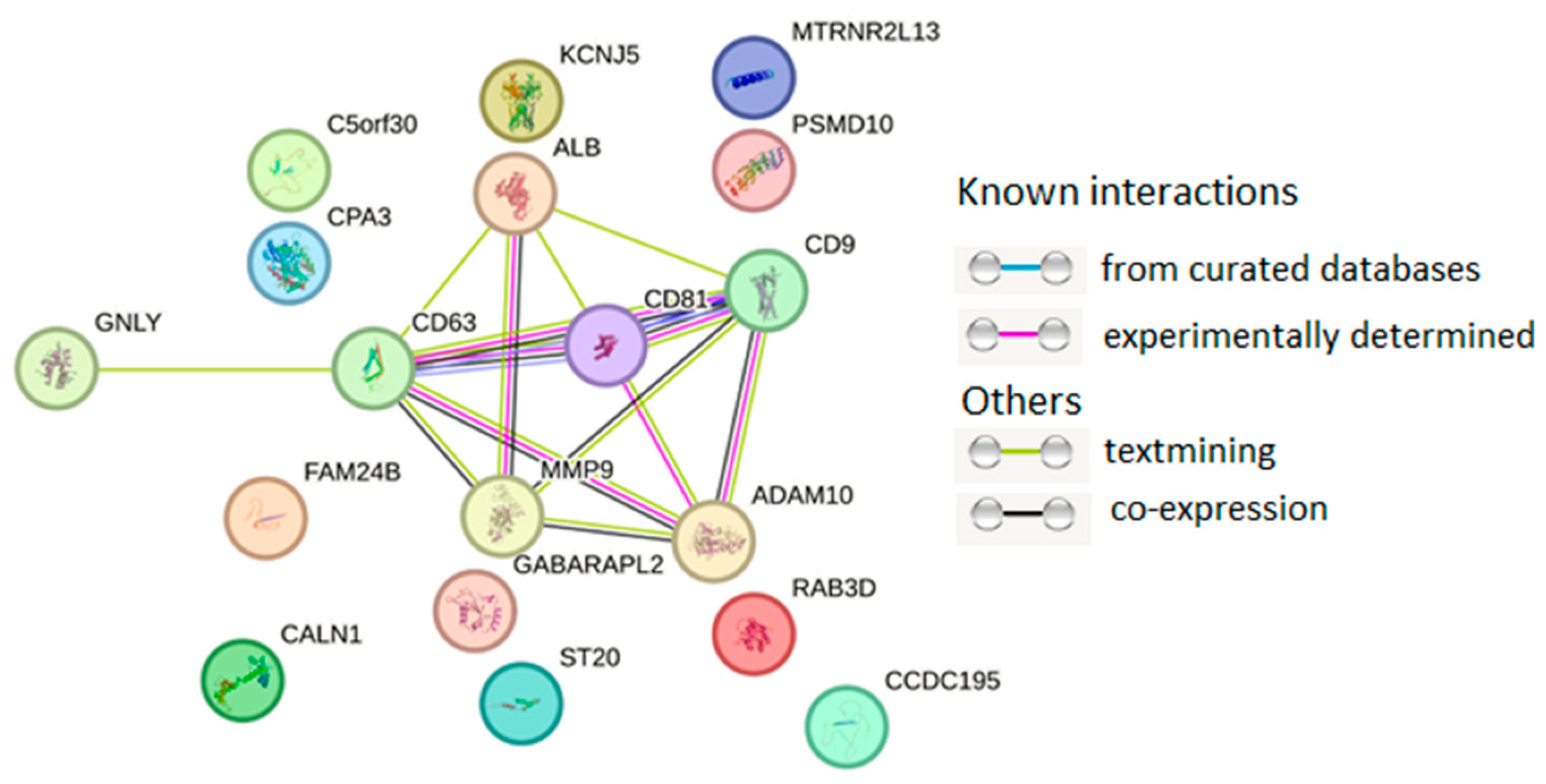 Diagnostics 15 01028 g003