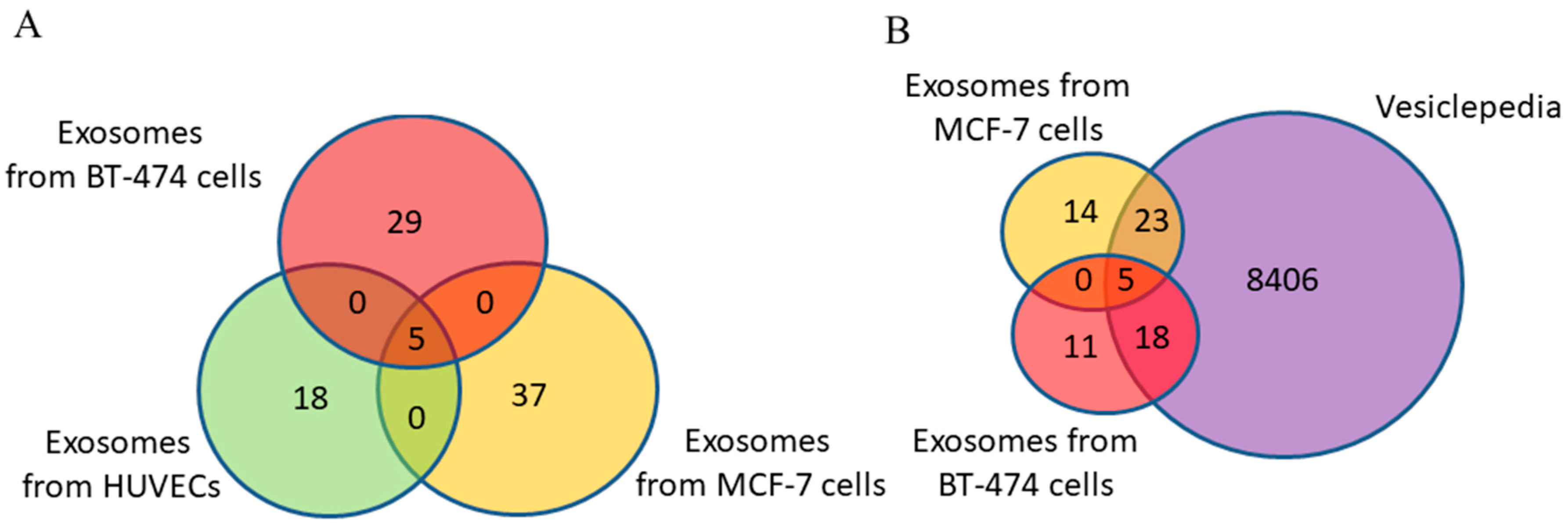 Diagnostics 15 01028 g004