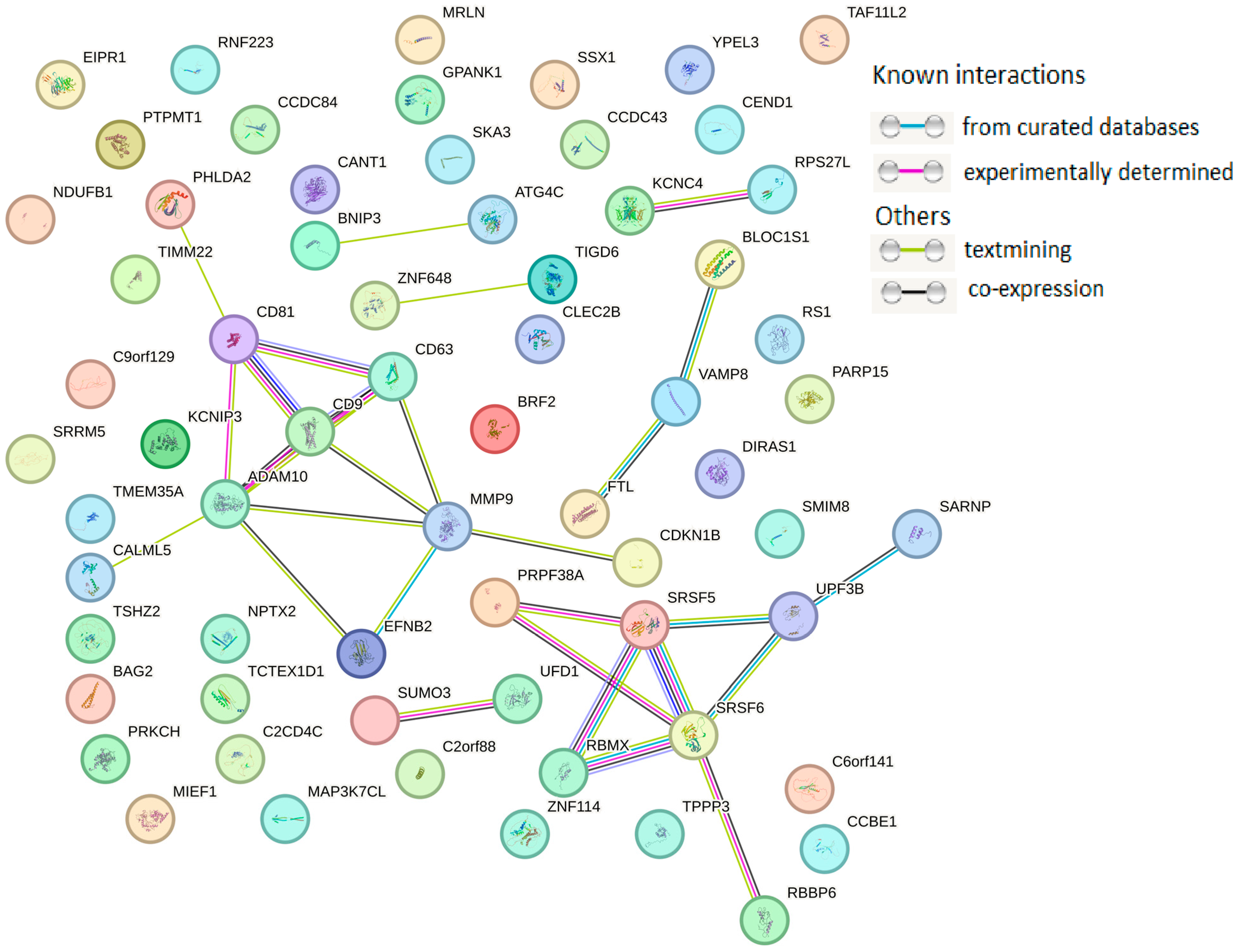 Diagnostics 15 01028 g005