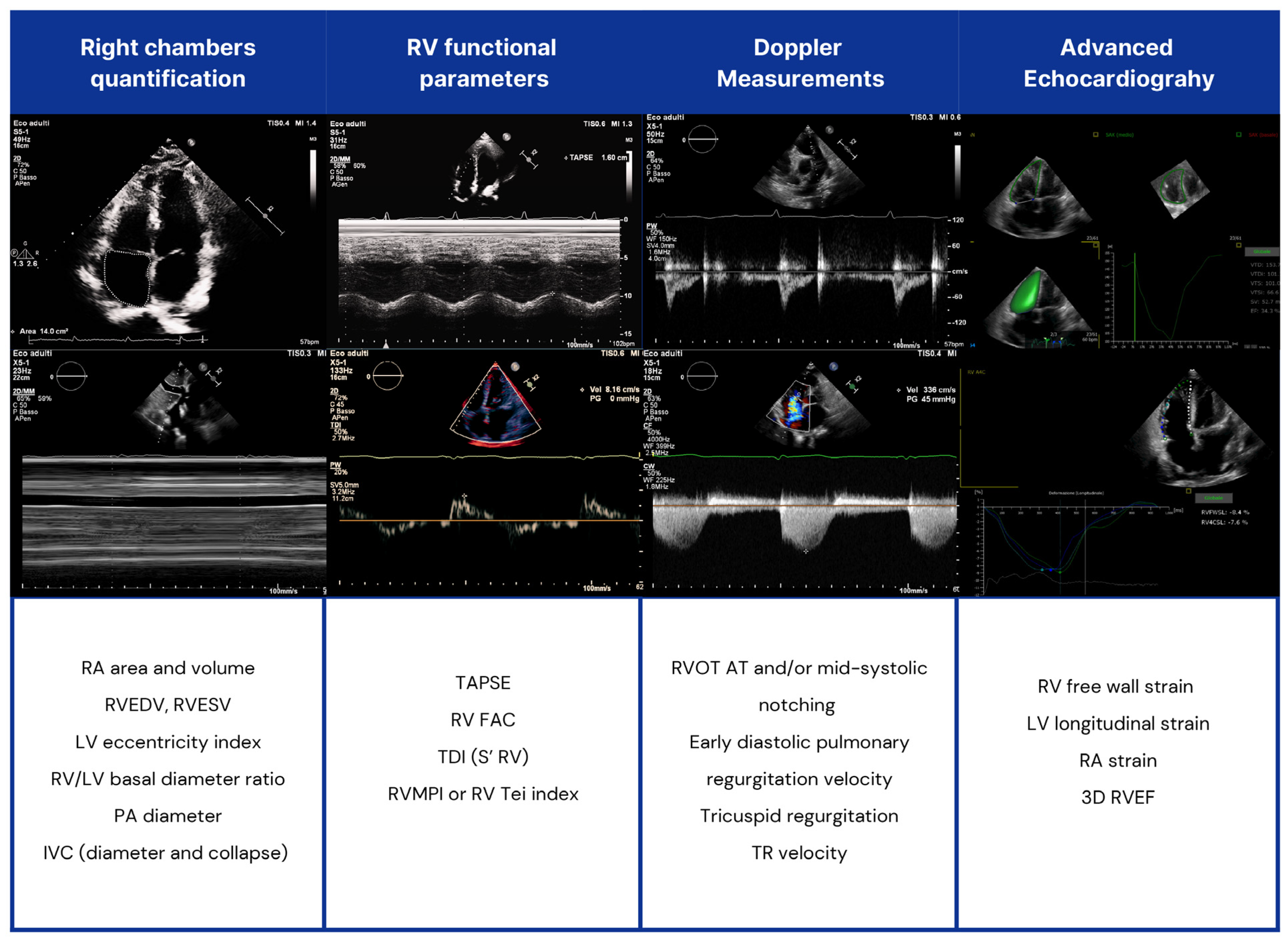Diagnostics 15 01029 g003 Diagnostics 15 01029 g003