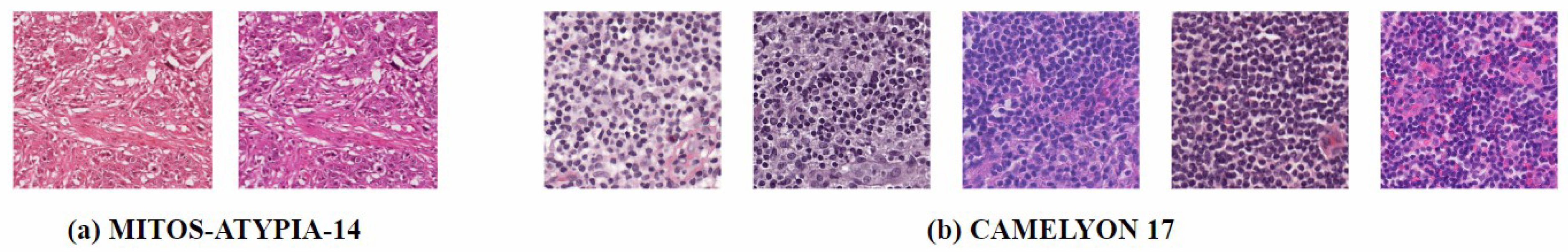 Diagnostics 15 01032 g001