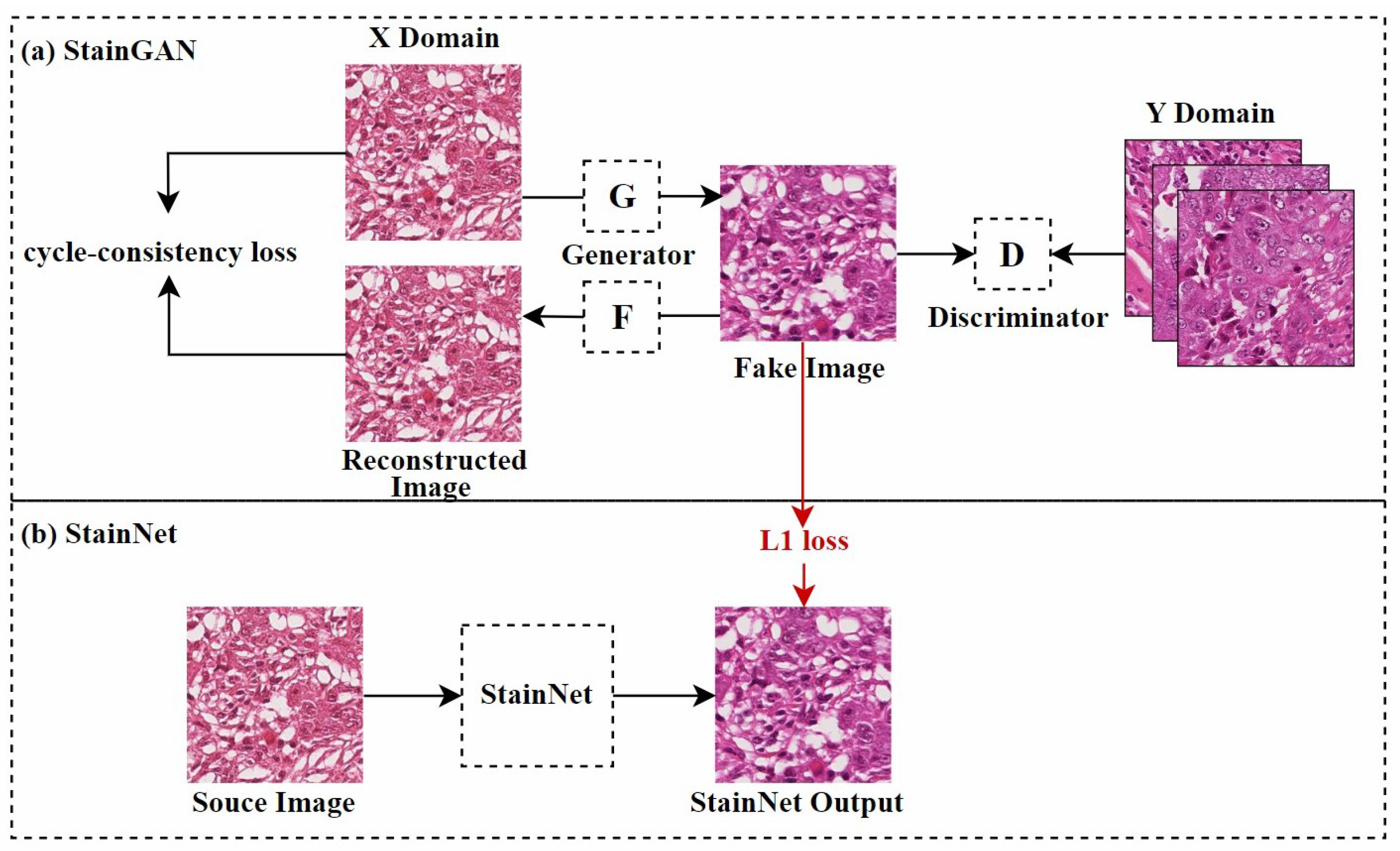 Diagnostics 15 01032 g006