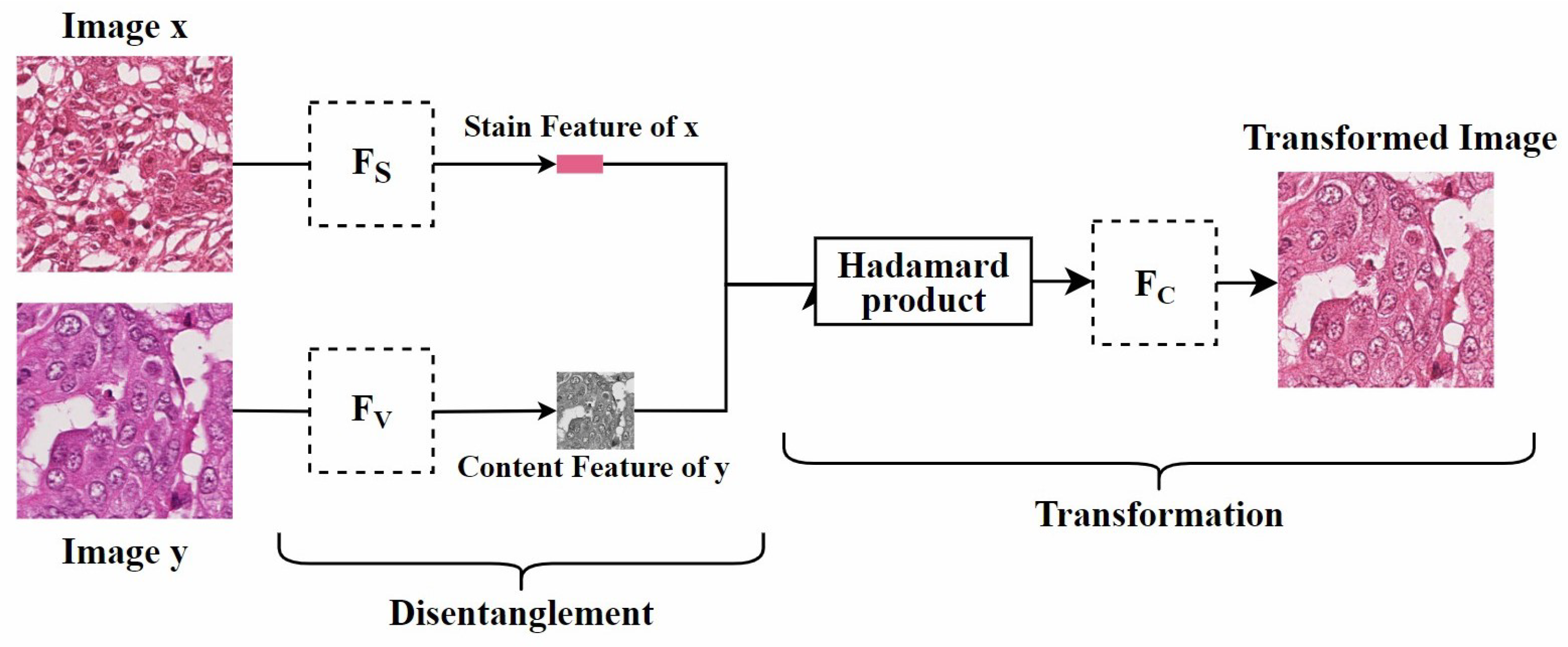 Diagnostics 15 01032 g011