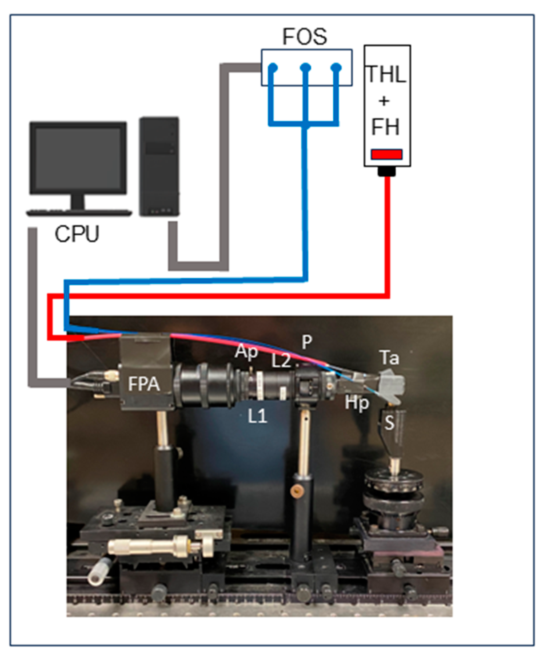 Diagnostics 15 01034 g001