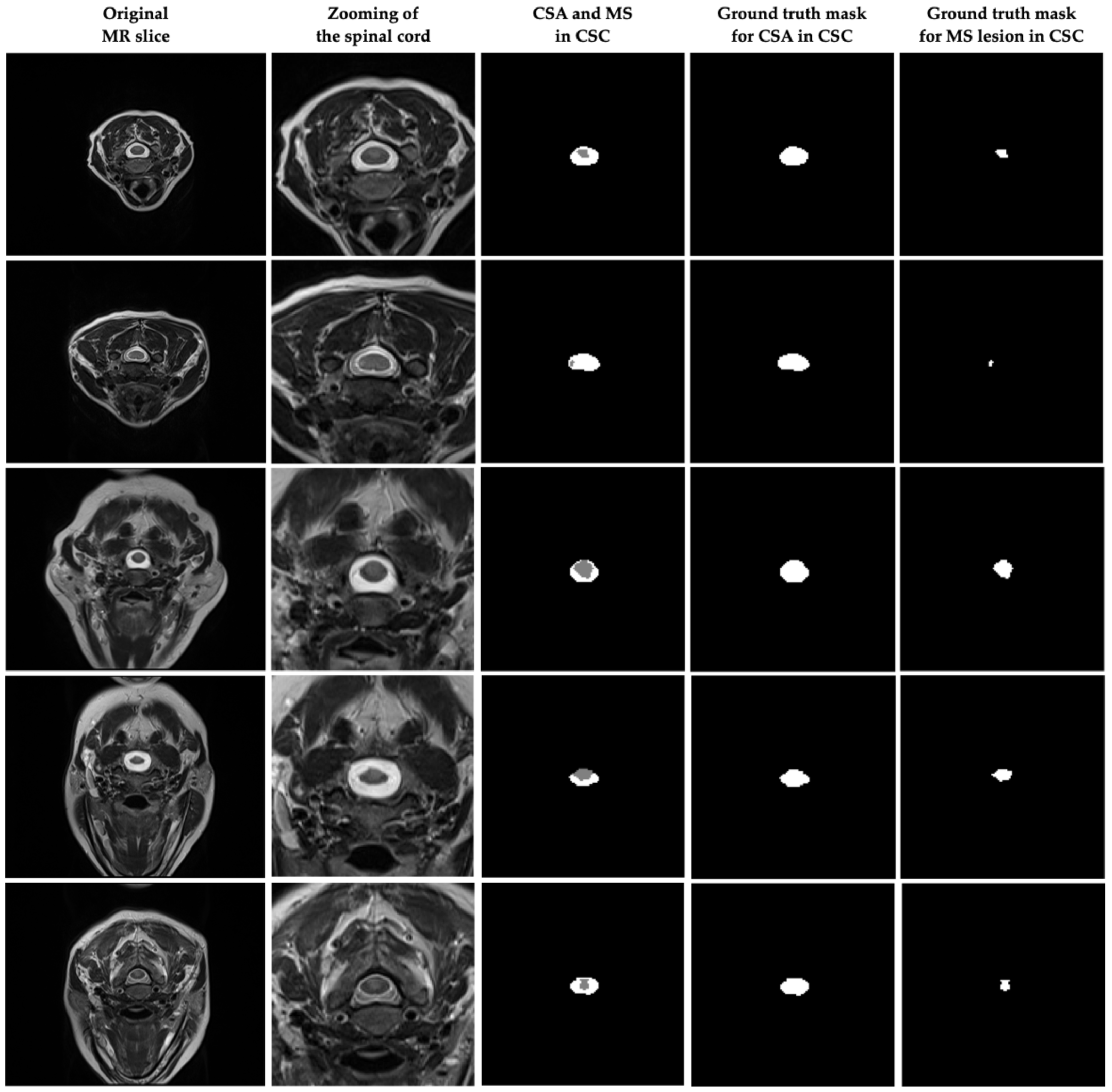Diagnostics 15 01041 g002