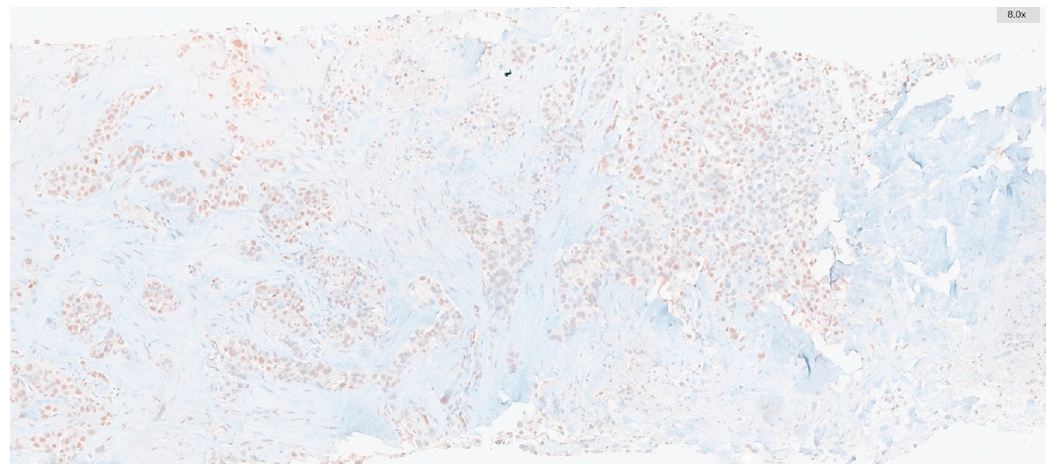 Diagnostics 15 01048 g001