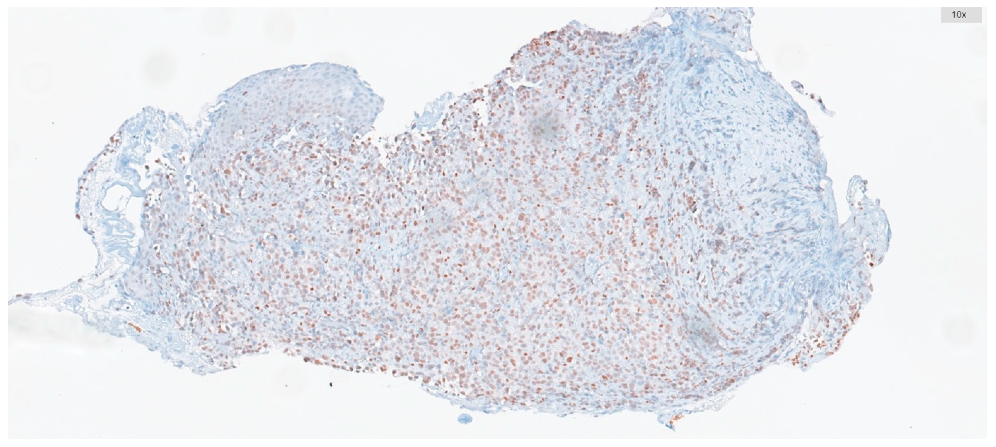 Diagnostics 15 01048 g002