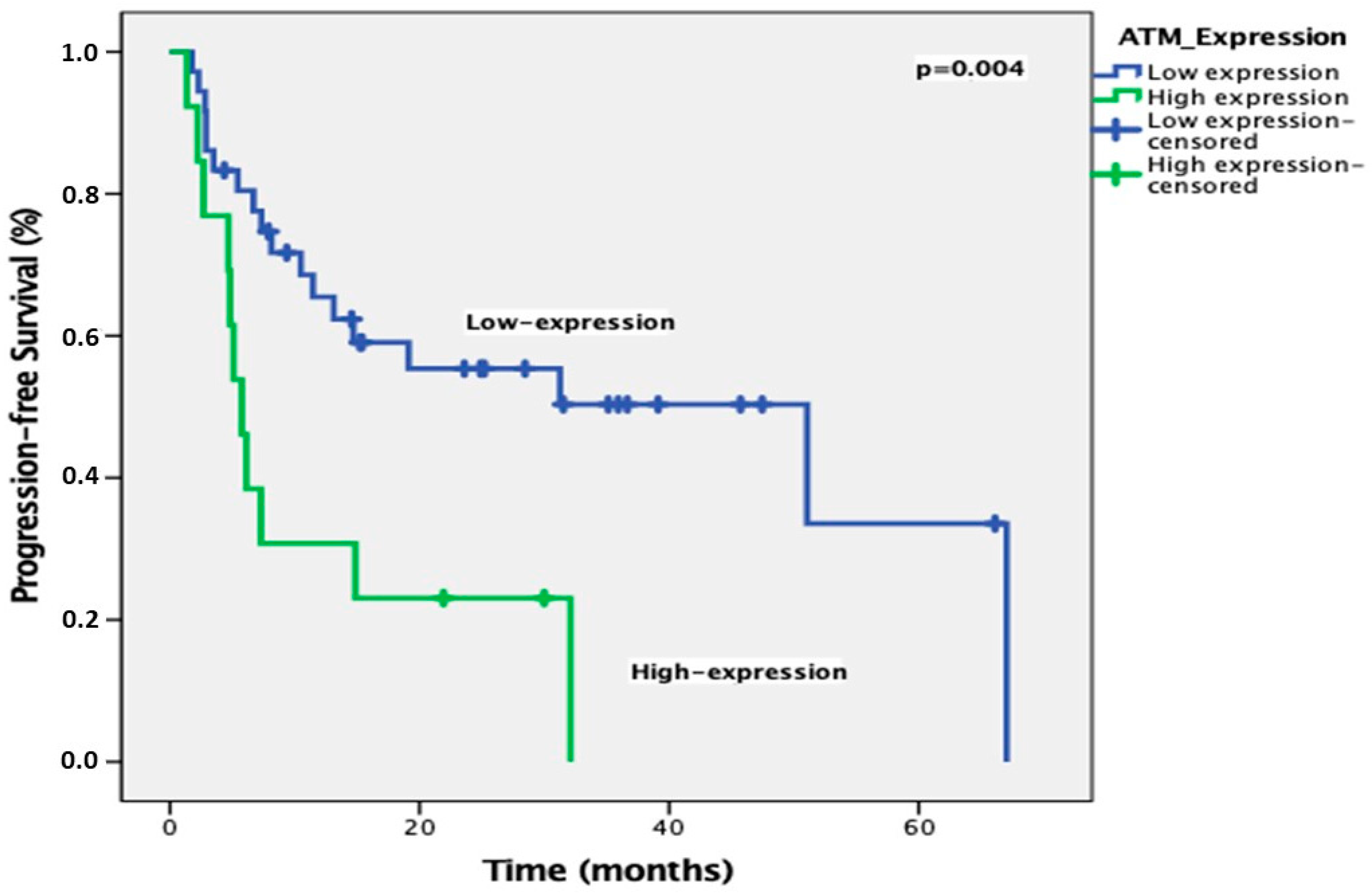 Diagnostics 15 01048 g003
