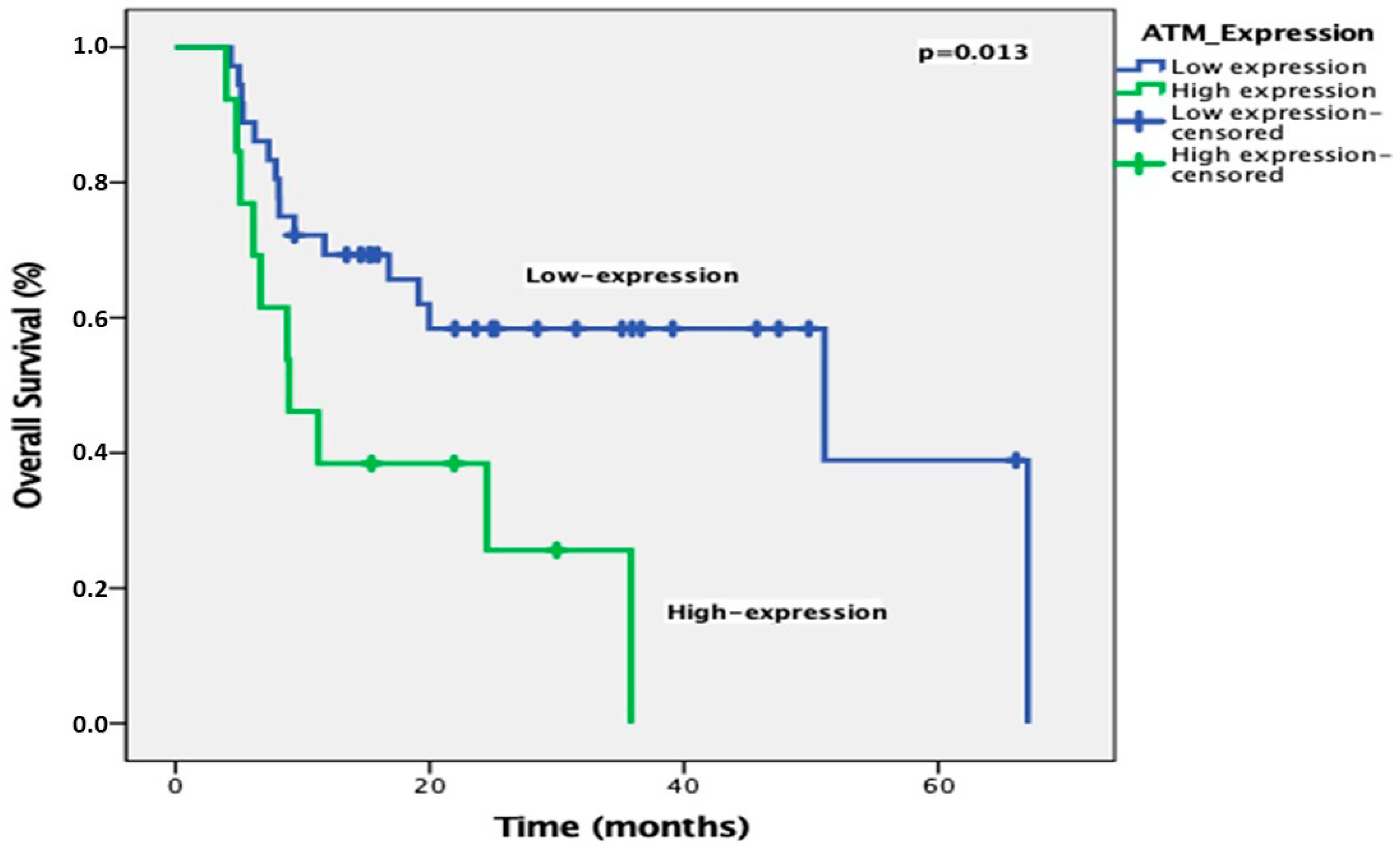 Diagnostics 15 01048 g004