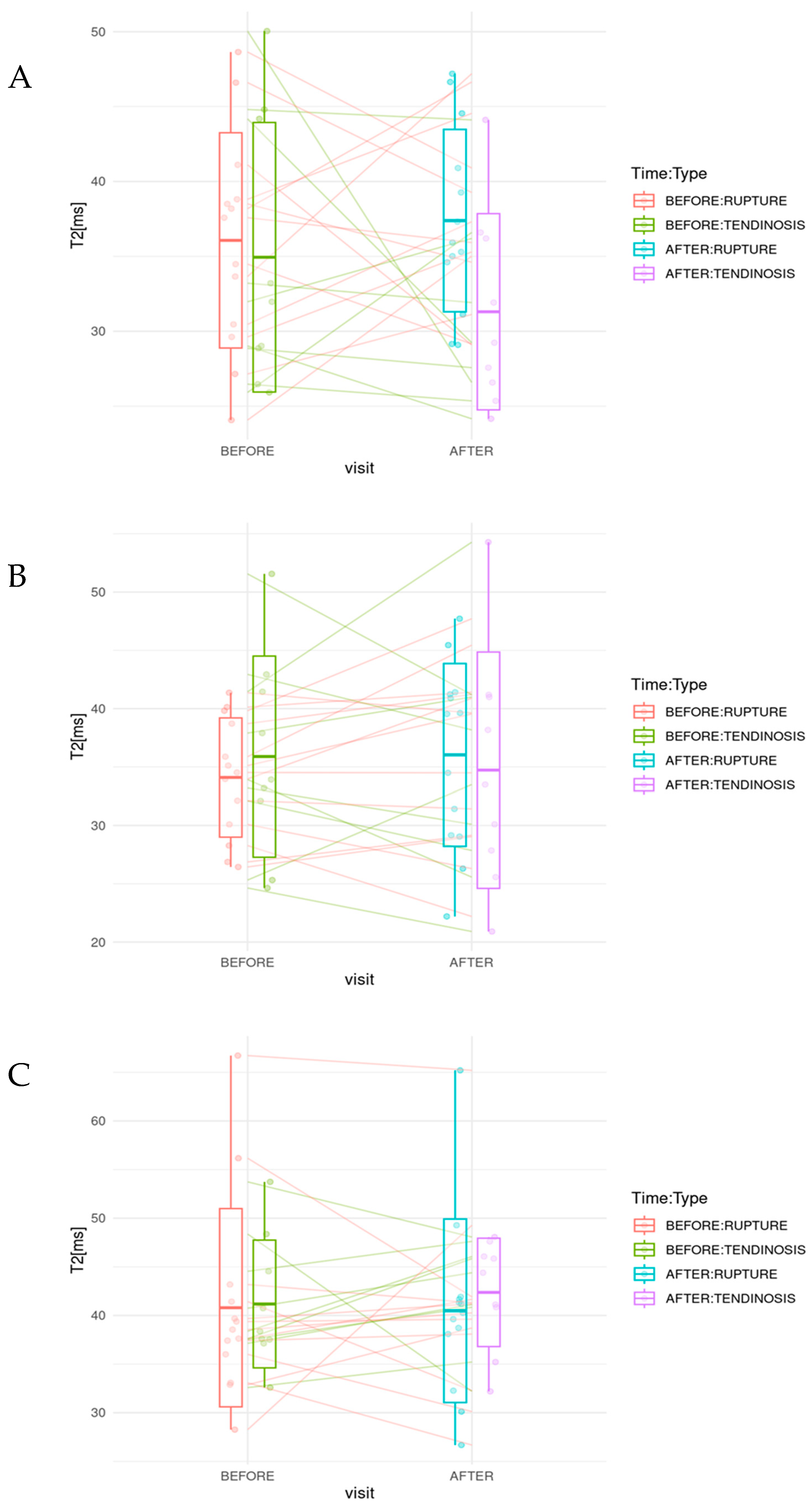 Diagnostics 15 01049 g004 Diagnostics 15 01049 g004
