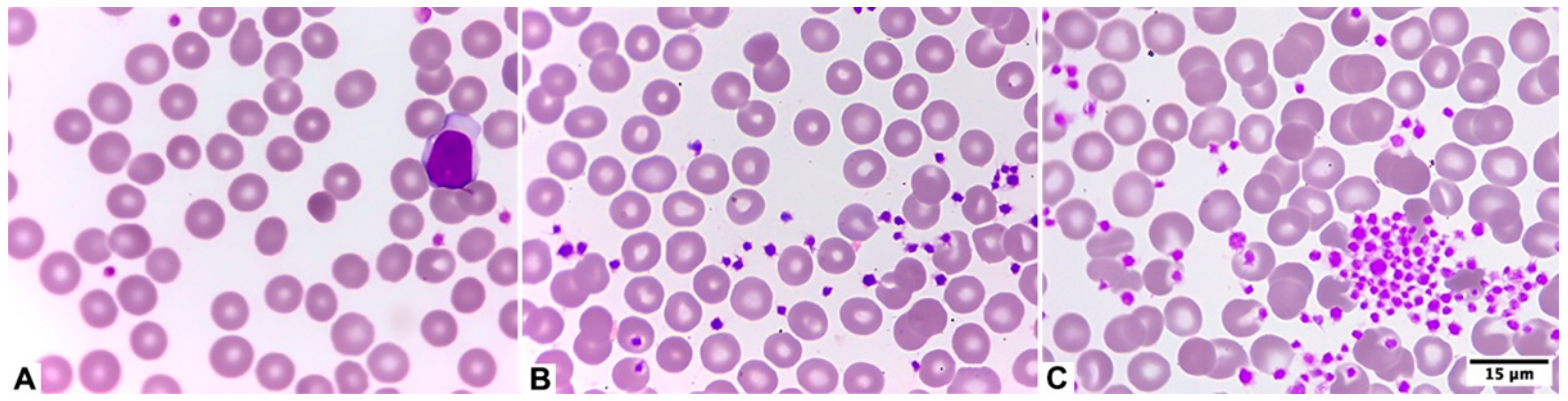 Diagnostics 15 01050 g002 Diagnostics 15 01050 g002