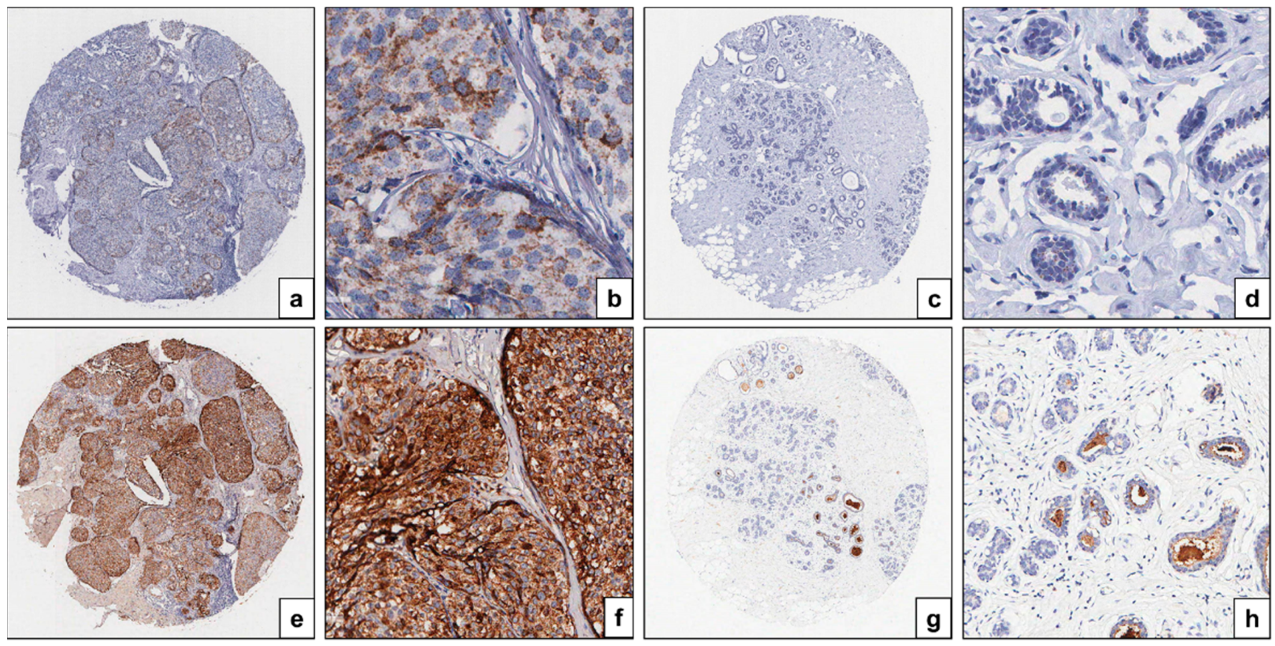 Diagnostics 15 01058 g002