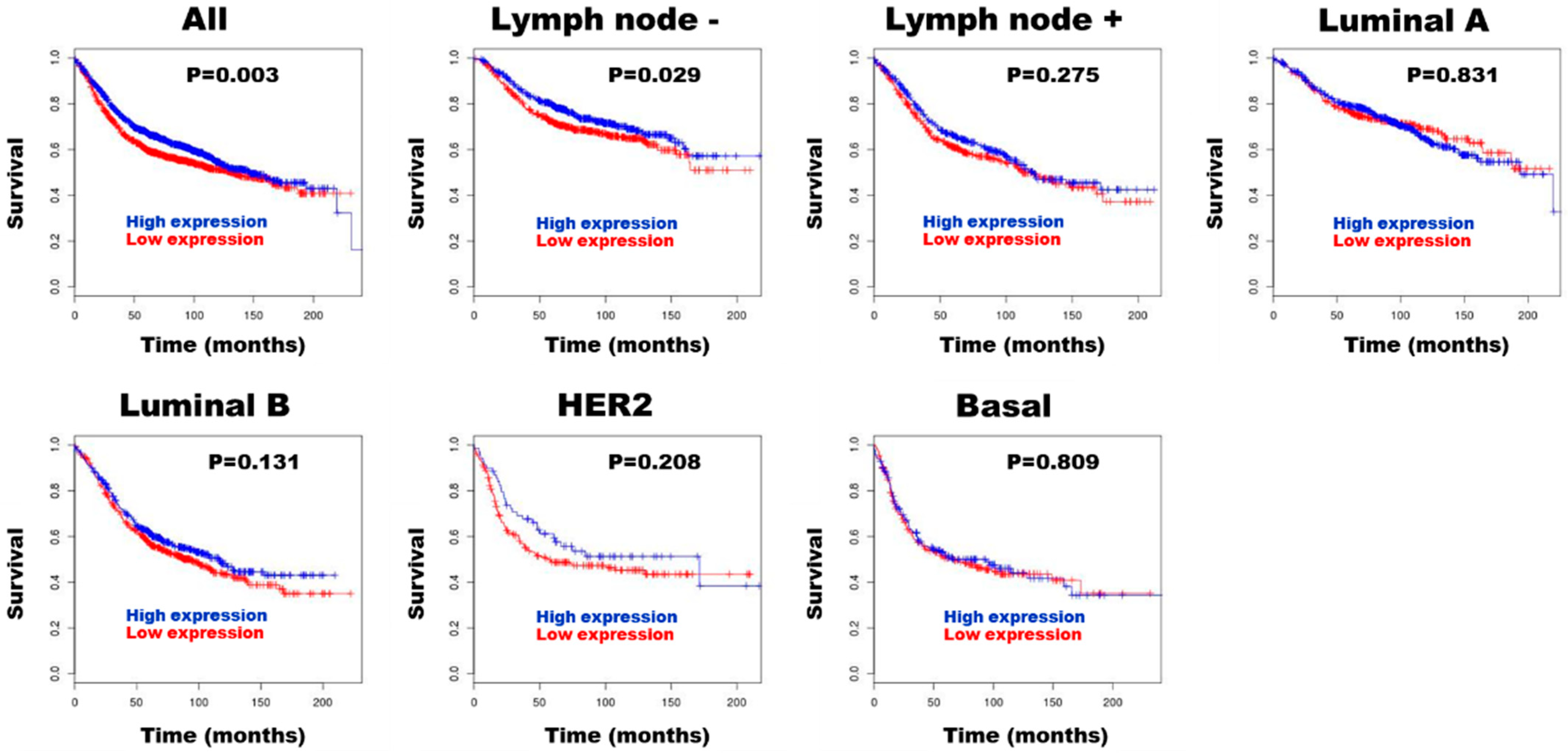 Diagnostics 15 01058 g004