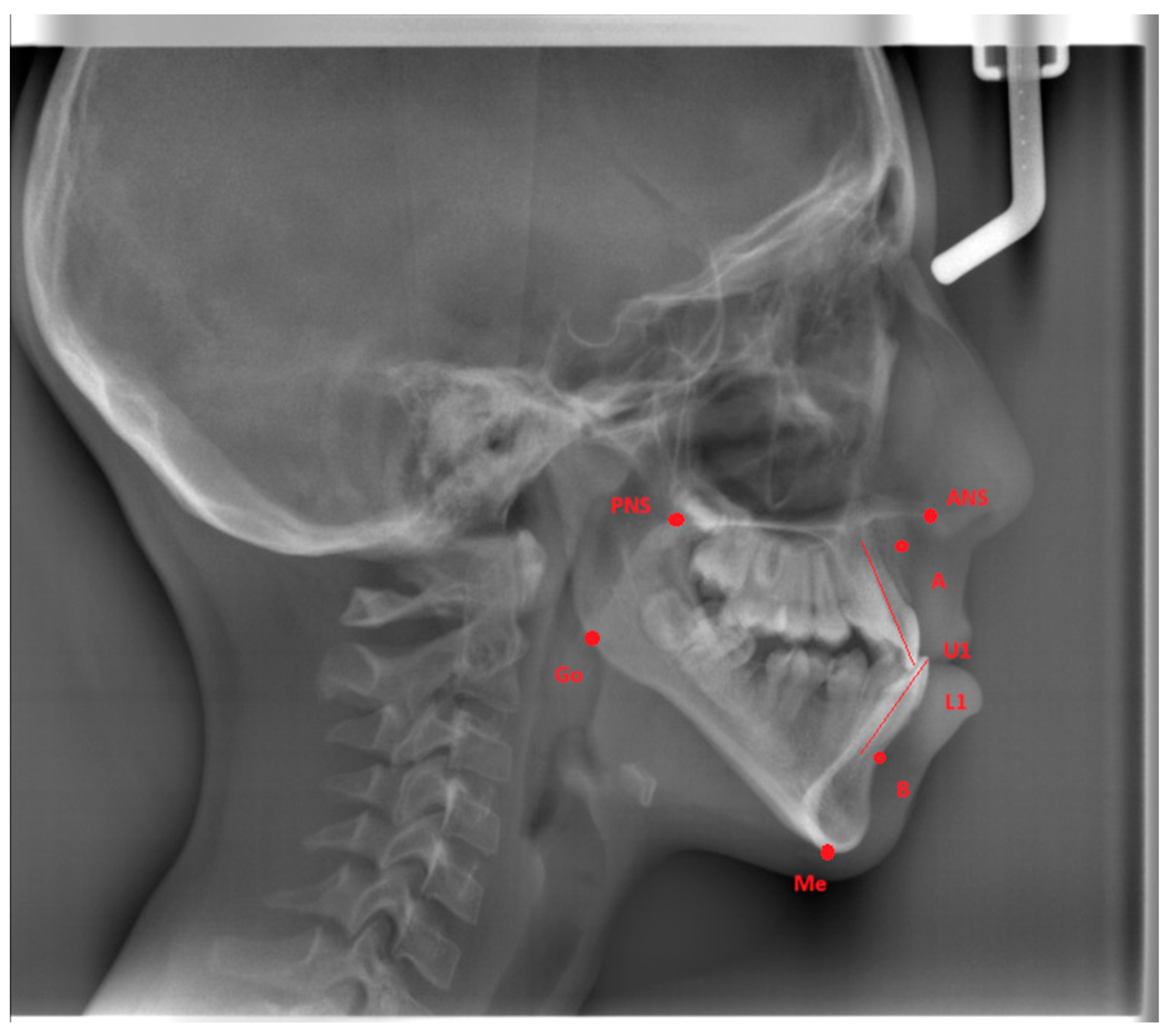 Diagnostics 15 01059 g001