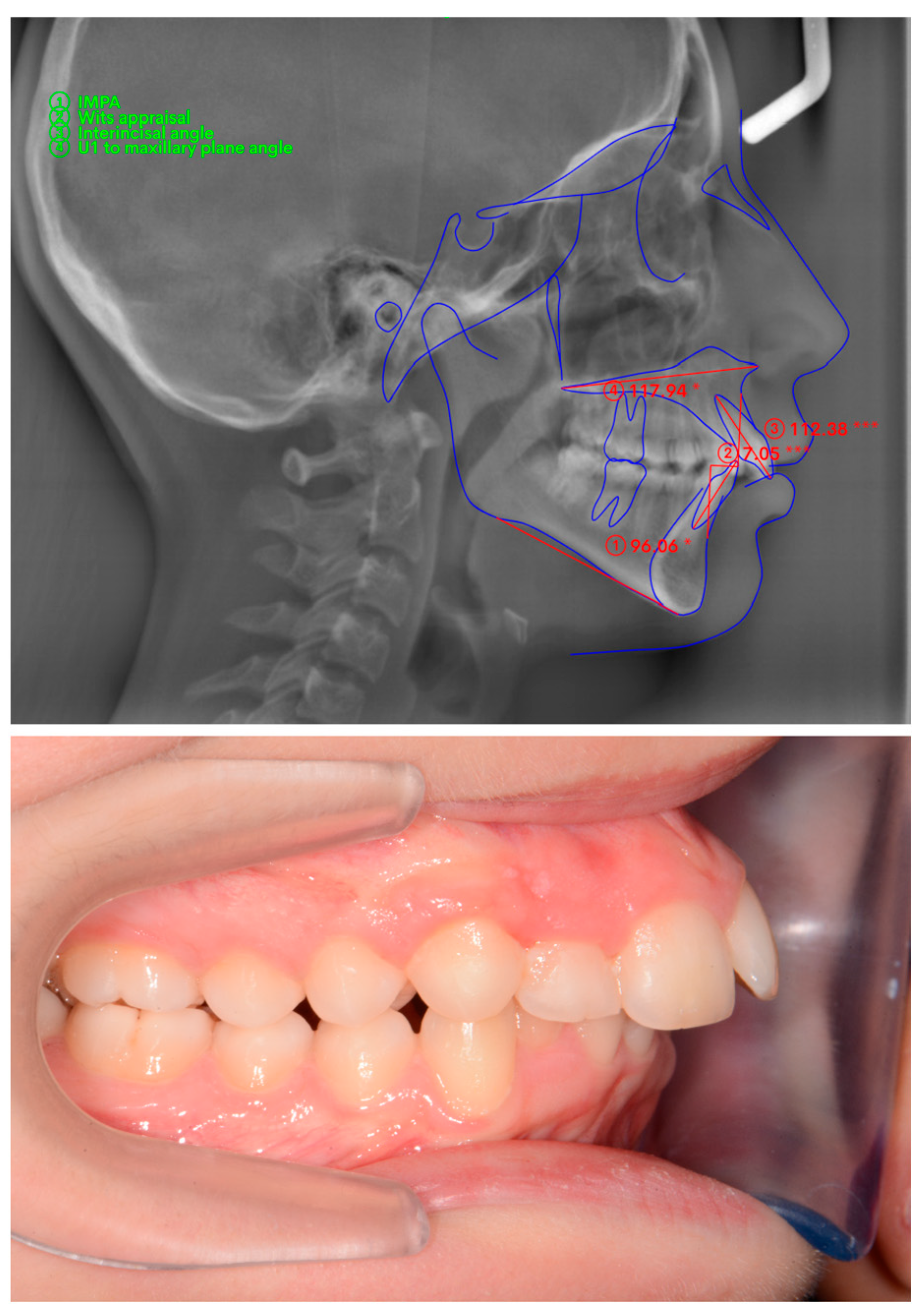 Diagnostics 15 01059 g002